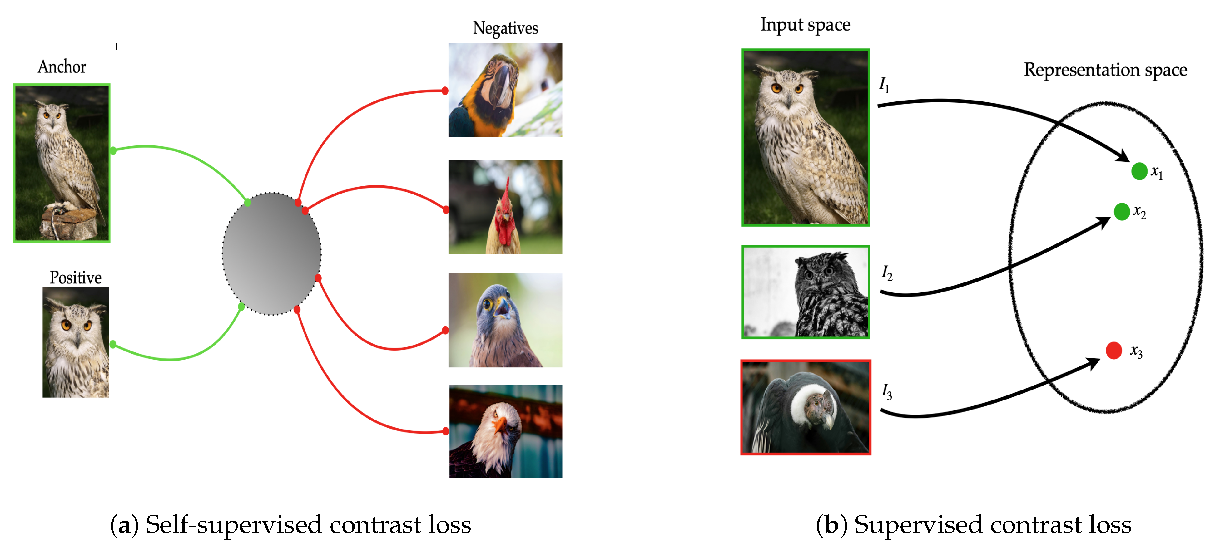 Applsci 15 01395 g003 Applsci 15 01395 g003