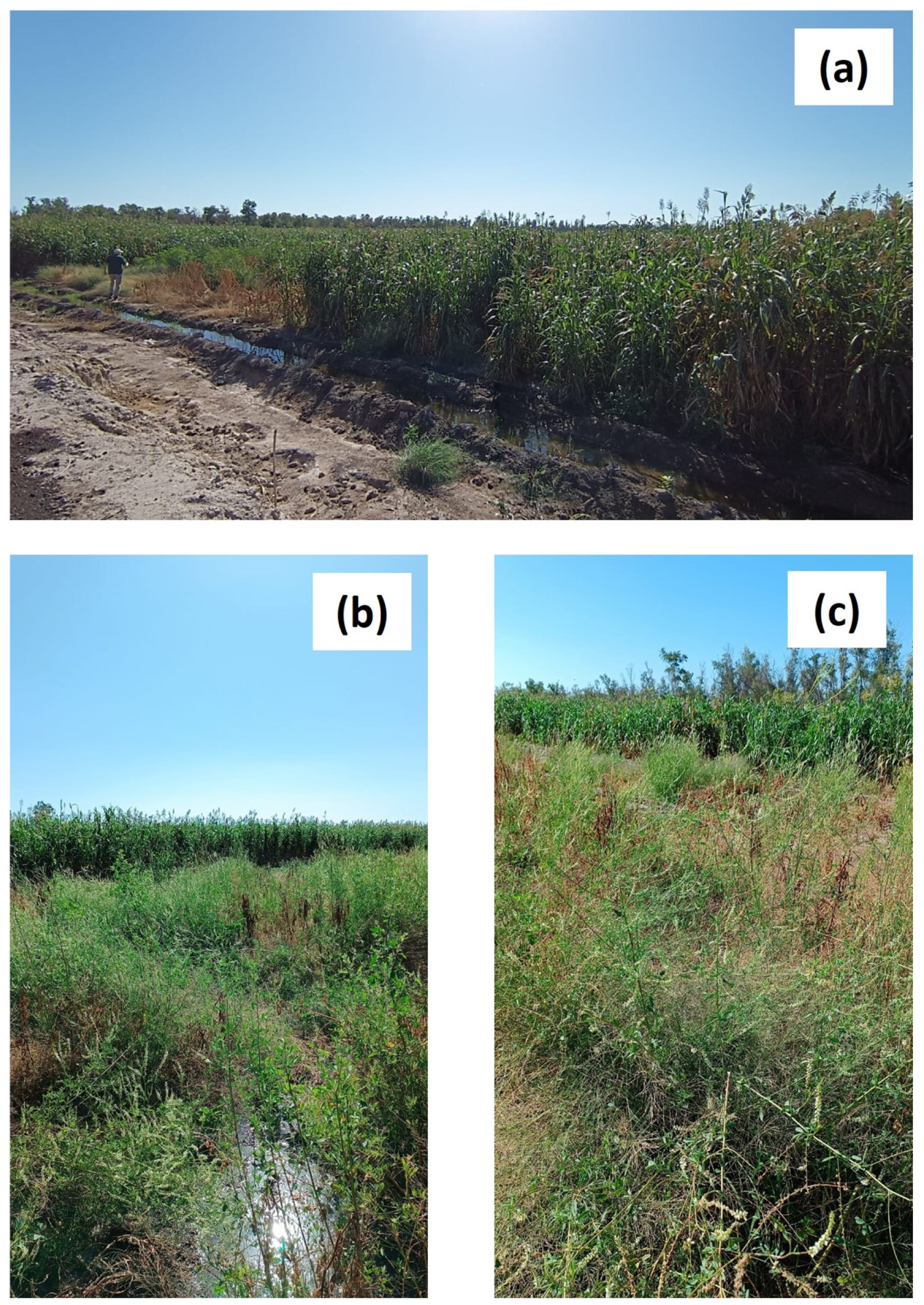 Applsci 15 01435 g002