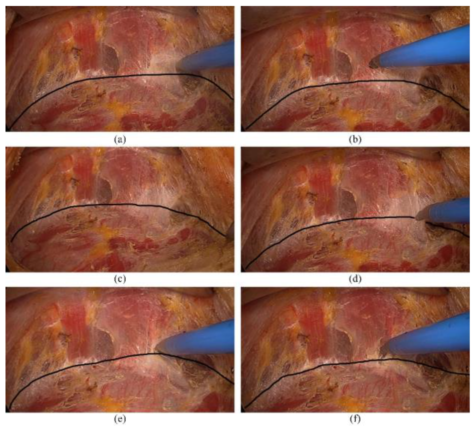 Applsci 15 01443 g004