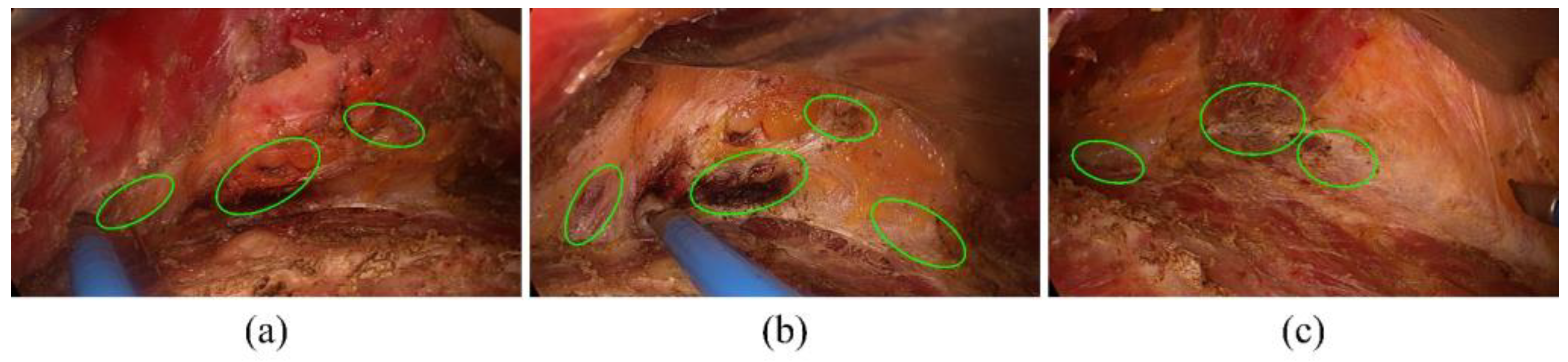 Applsci 15 01443 g006