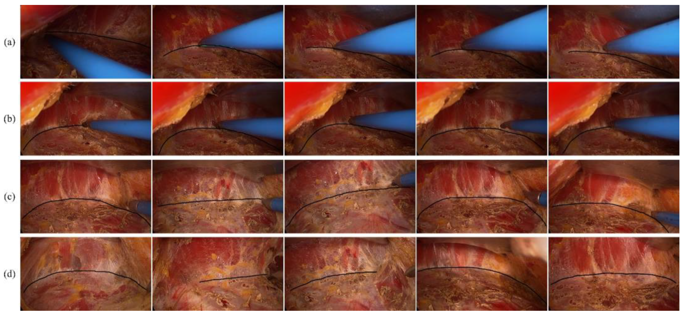 Applsci 15 01443 g011