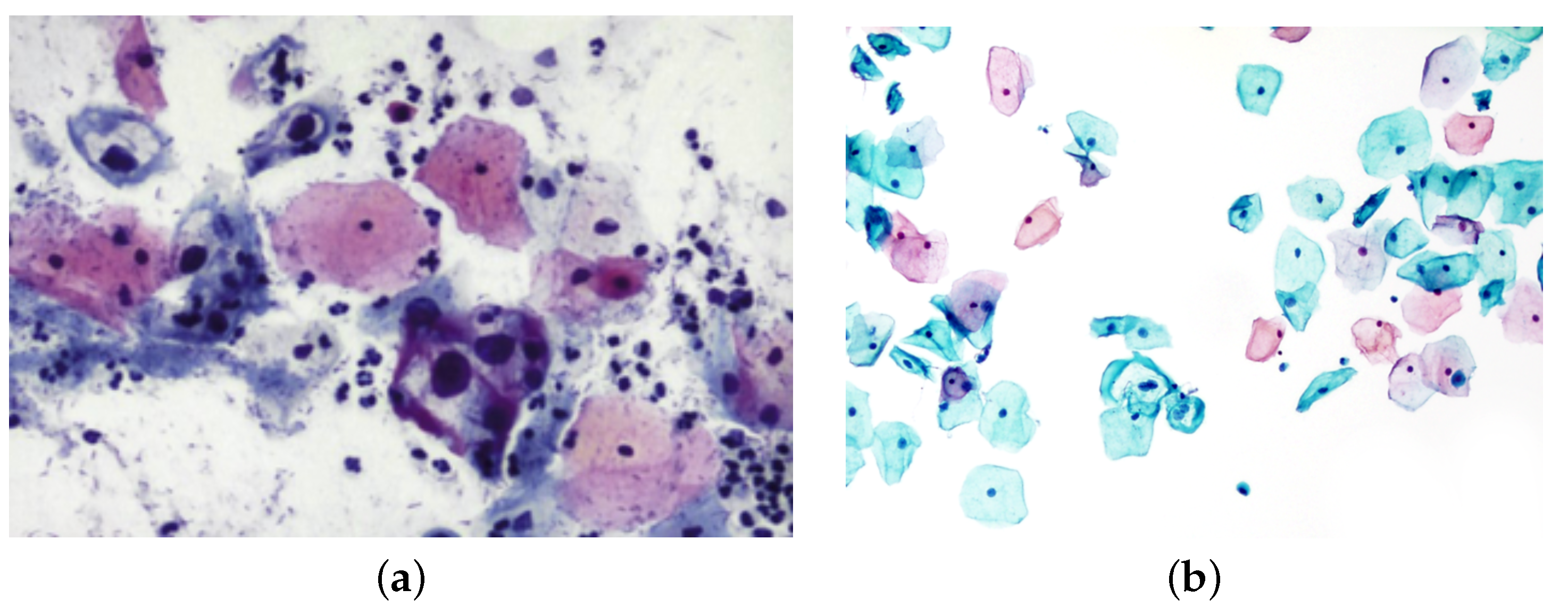 Applsci 15 01458 g001 Applsci 15 01458 g001