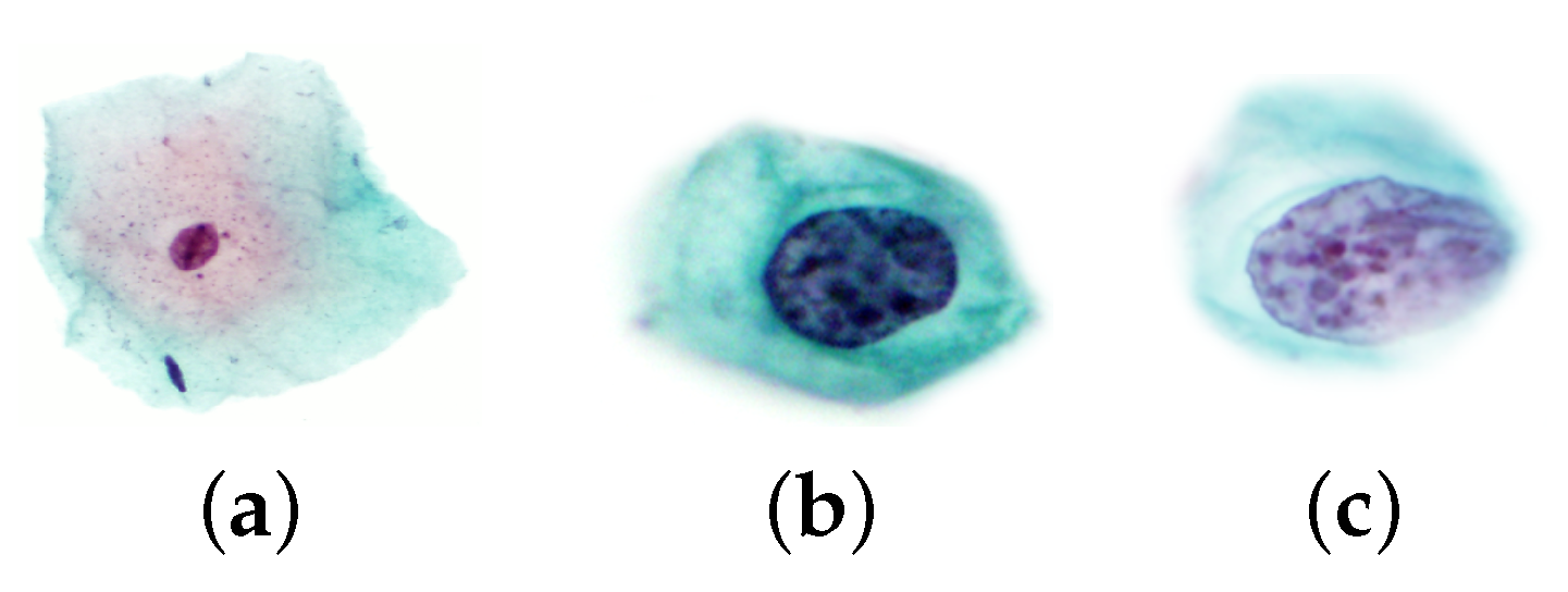 Applsci 15 01458 g002 Applsci 15 01458 g002