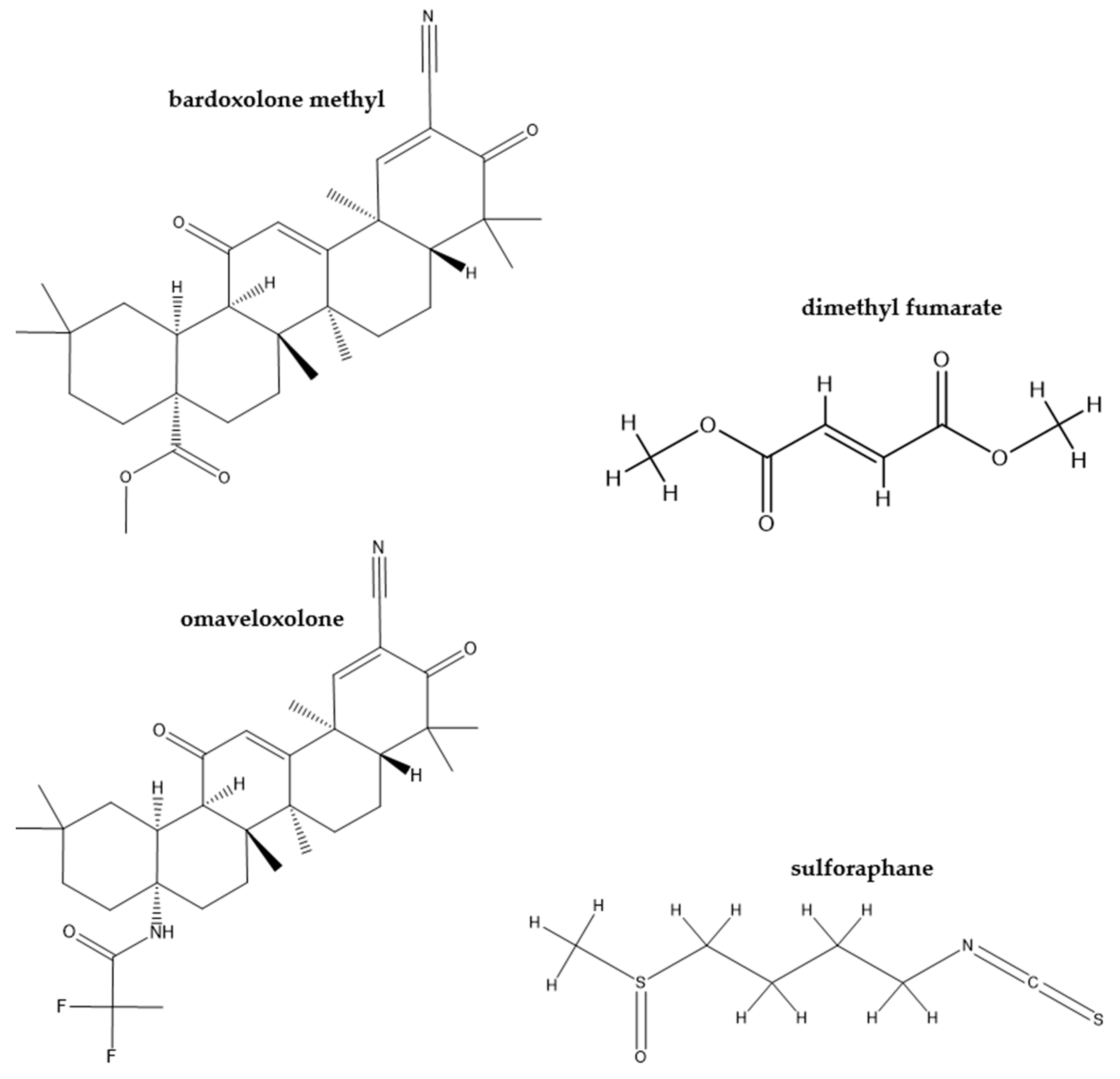 Applsci 15 01493 g010