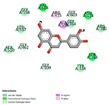 Applsci 15 01493 i010