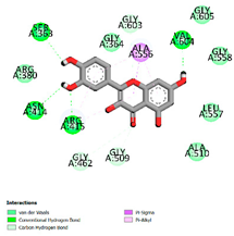 Applsci 15 01493 i012
