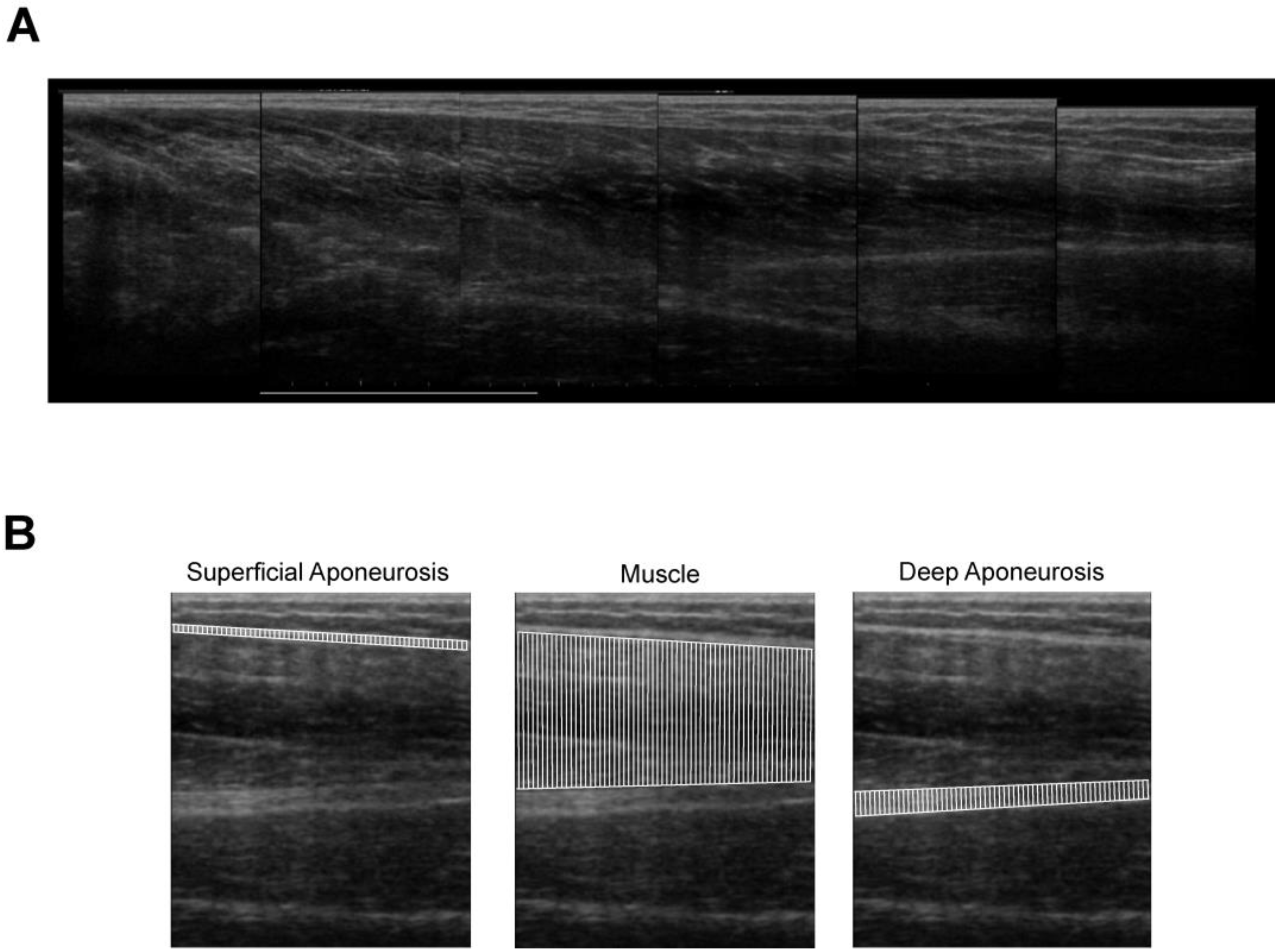 Applsci 15 01520 g001