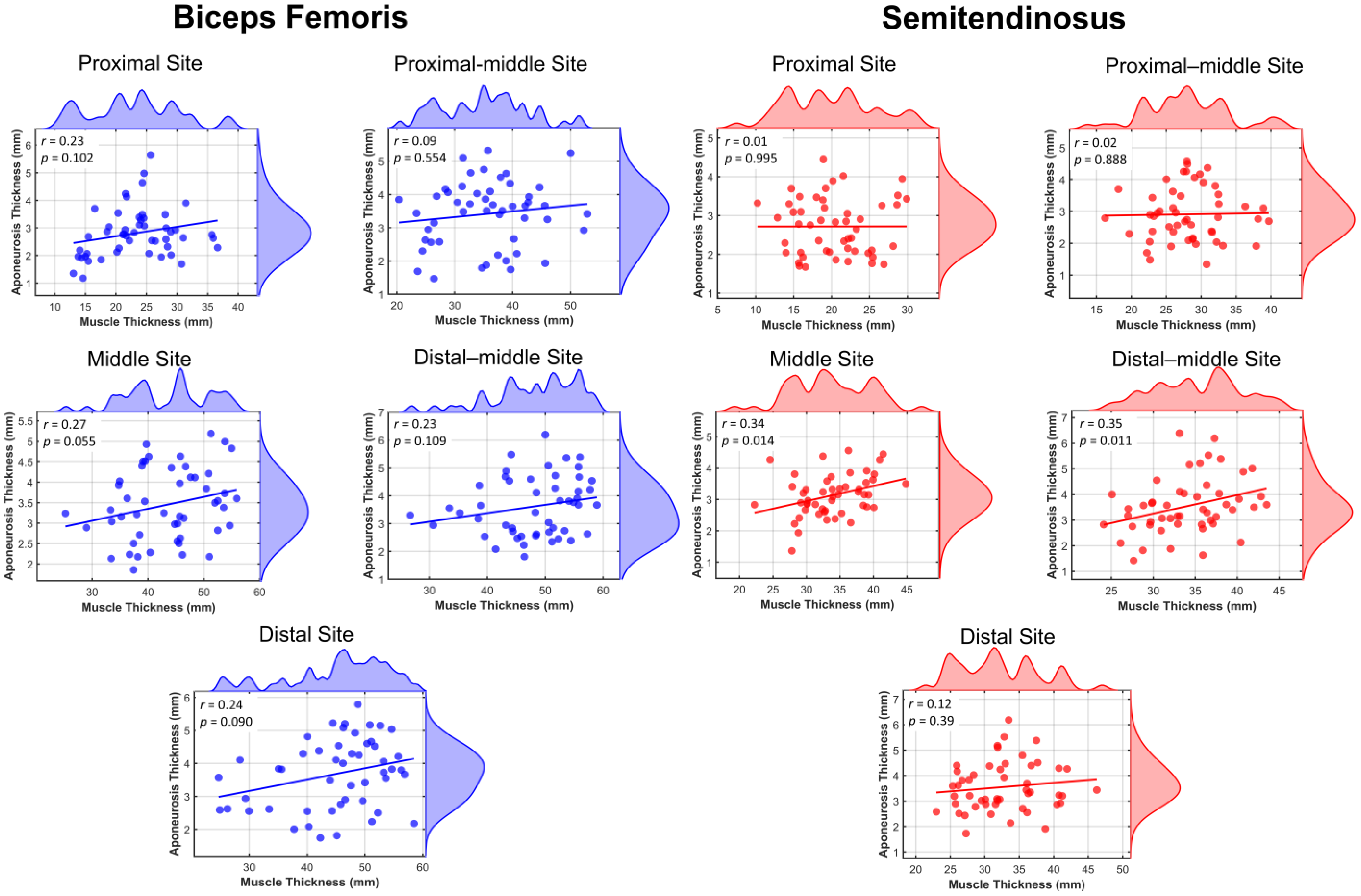 Applsci 15 01520 g005