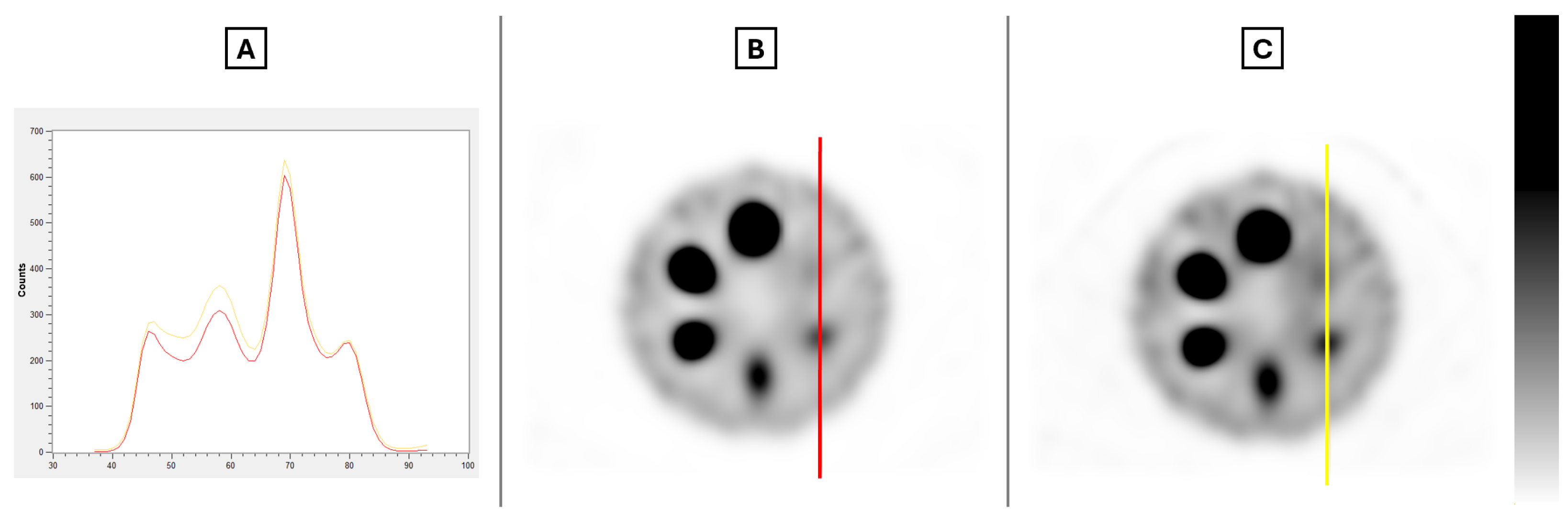 Applsci 15 01589 g007