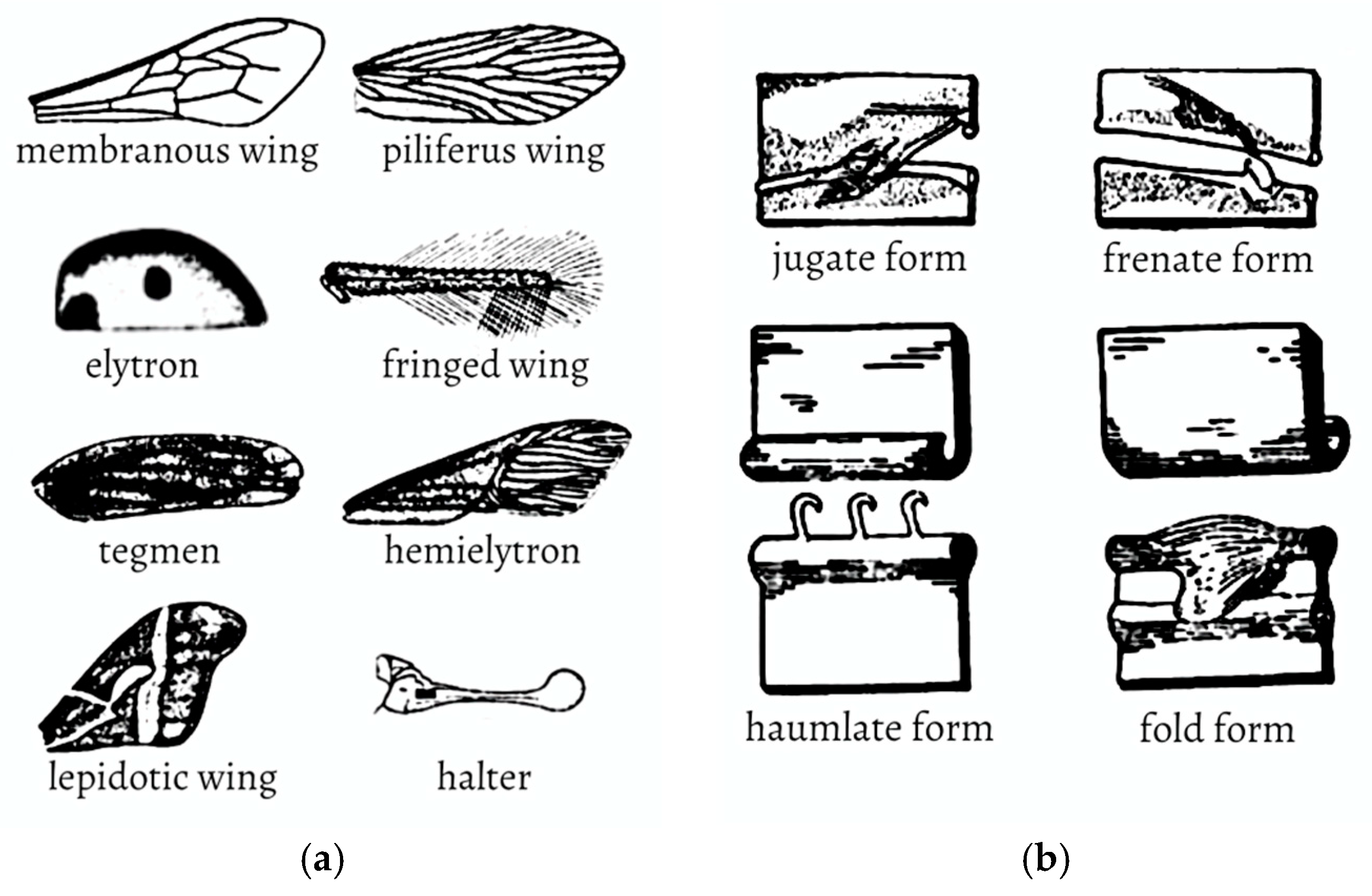 Applsci 15 01606 g001 Applsci 15 01606 g001