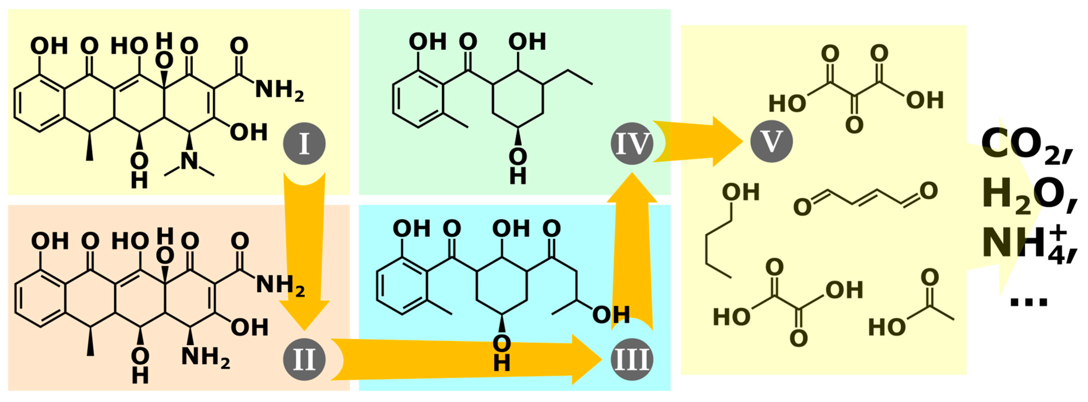Applsci 15 01609 g012