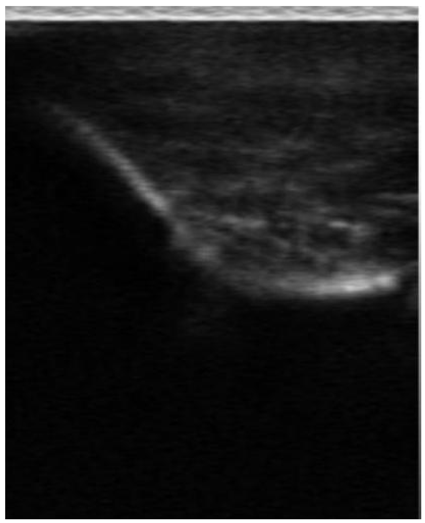 Applsci 15 01640 g002