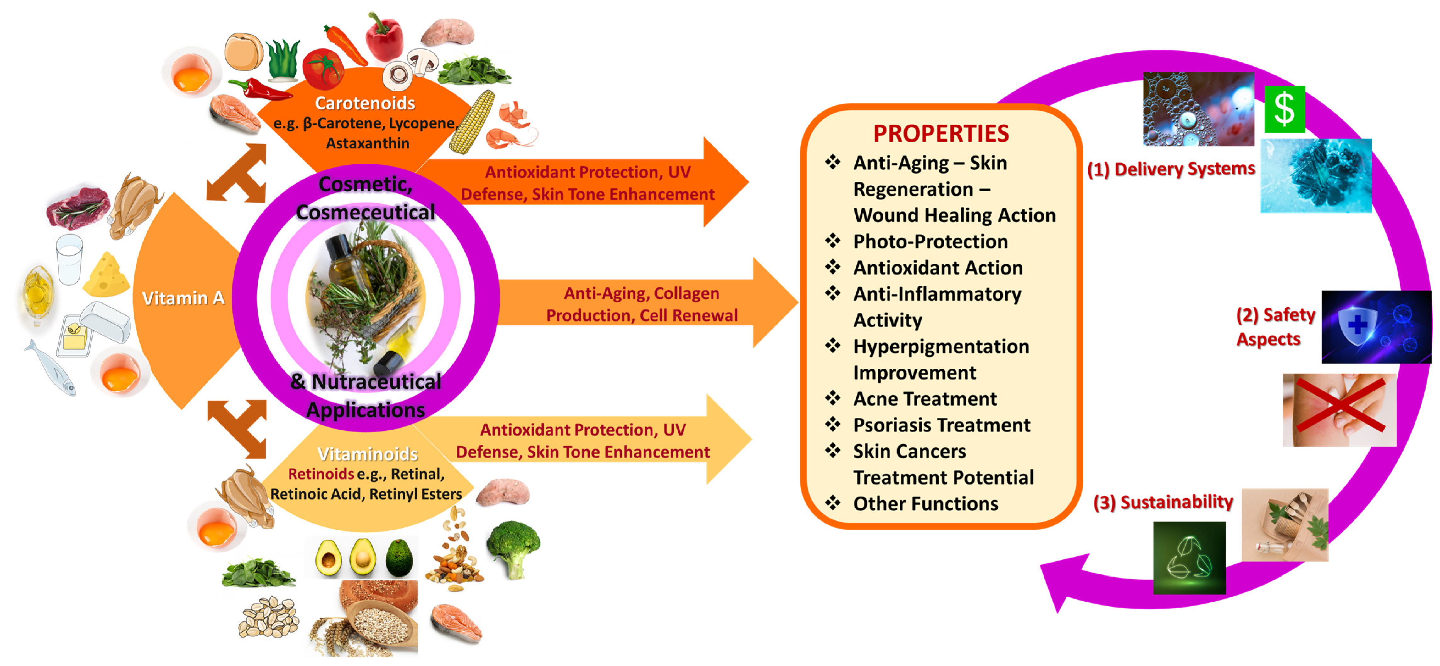 Applsci 15 01657 g001
