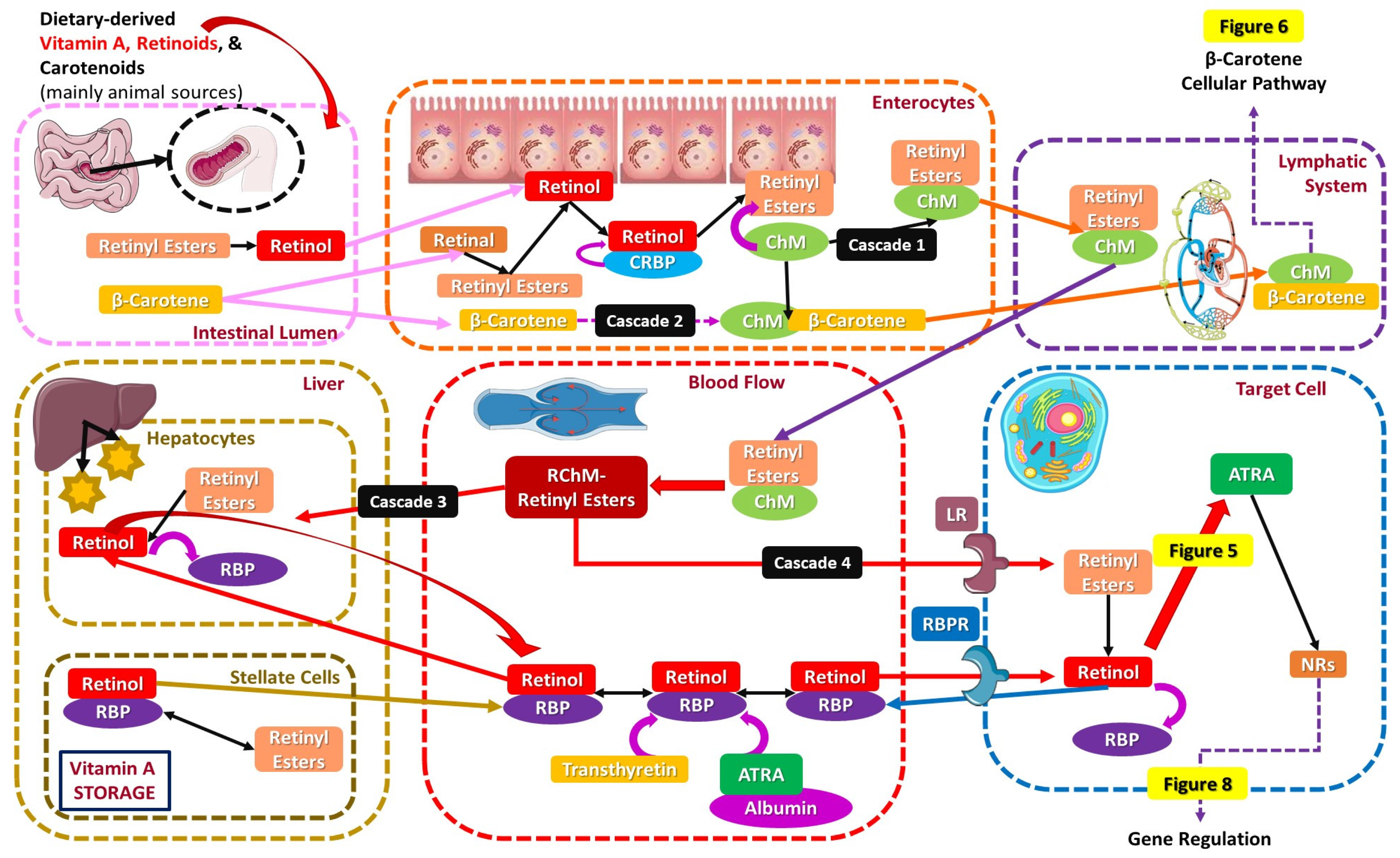 Applsci 15 01657 g004
