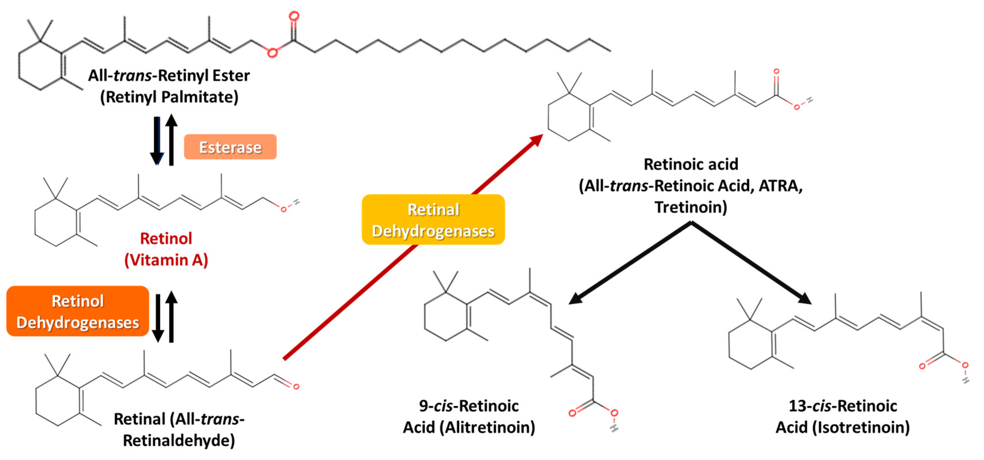 Applsci 15 01657 g005