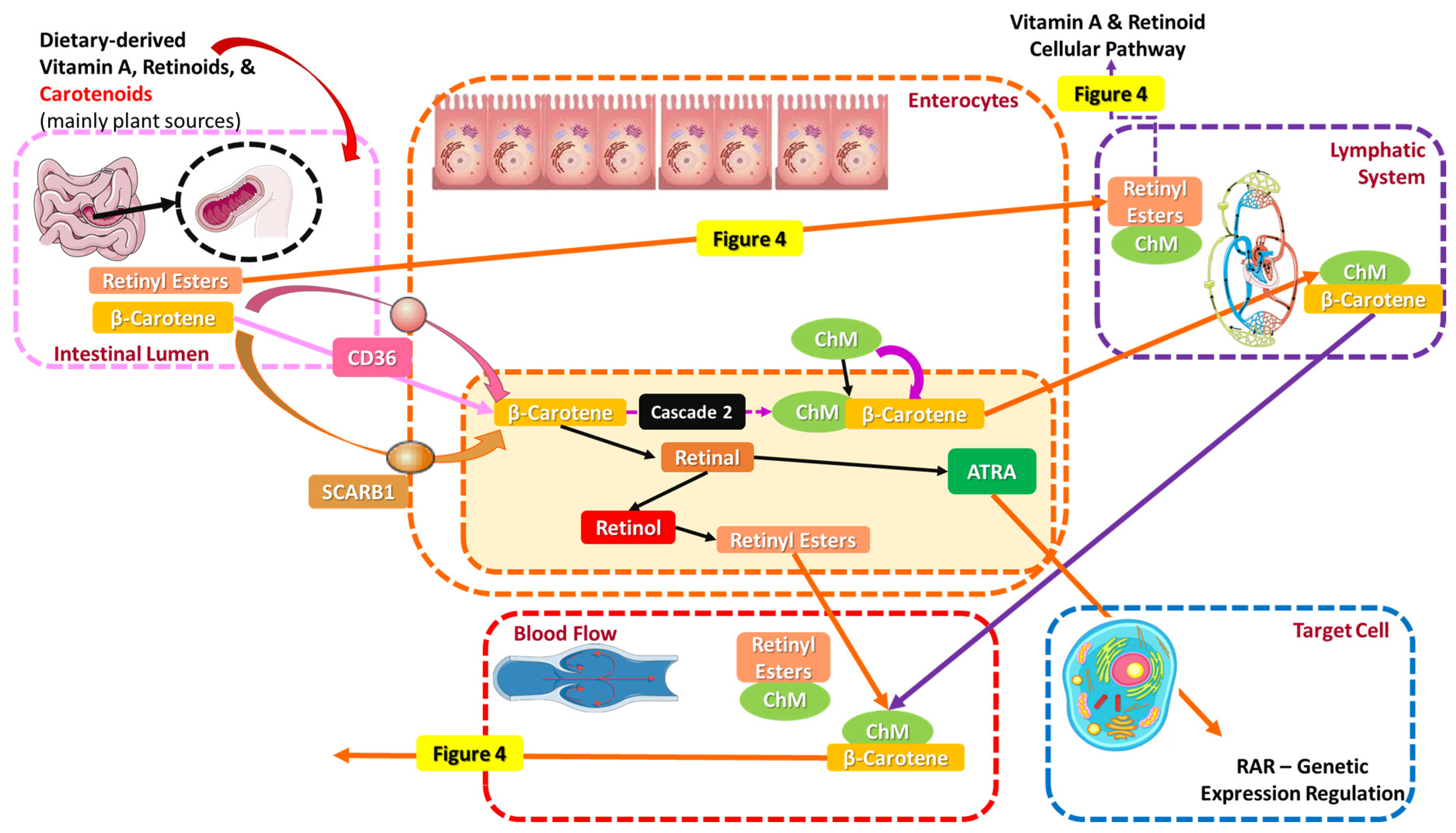 Applsci 15 01657 g006