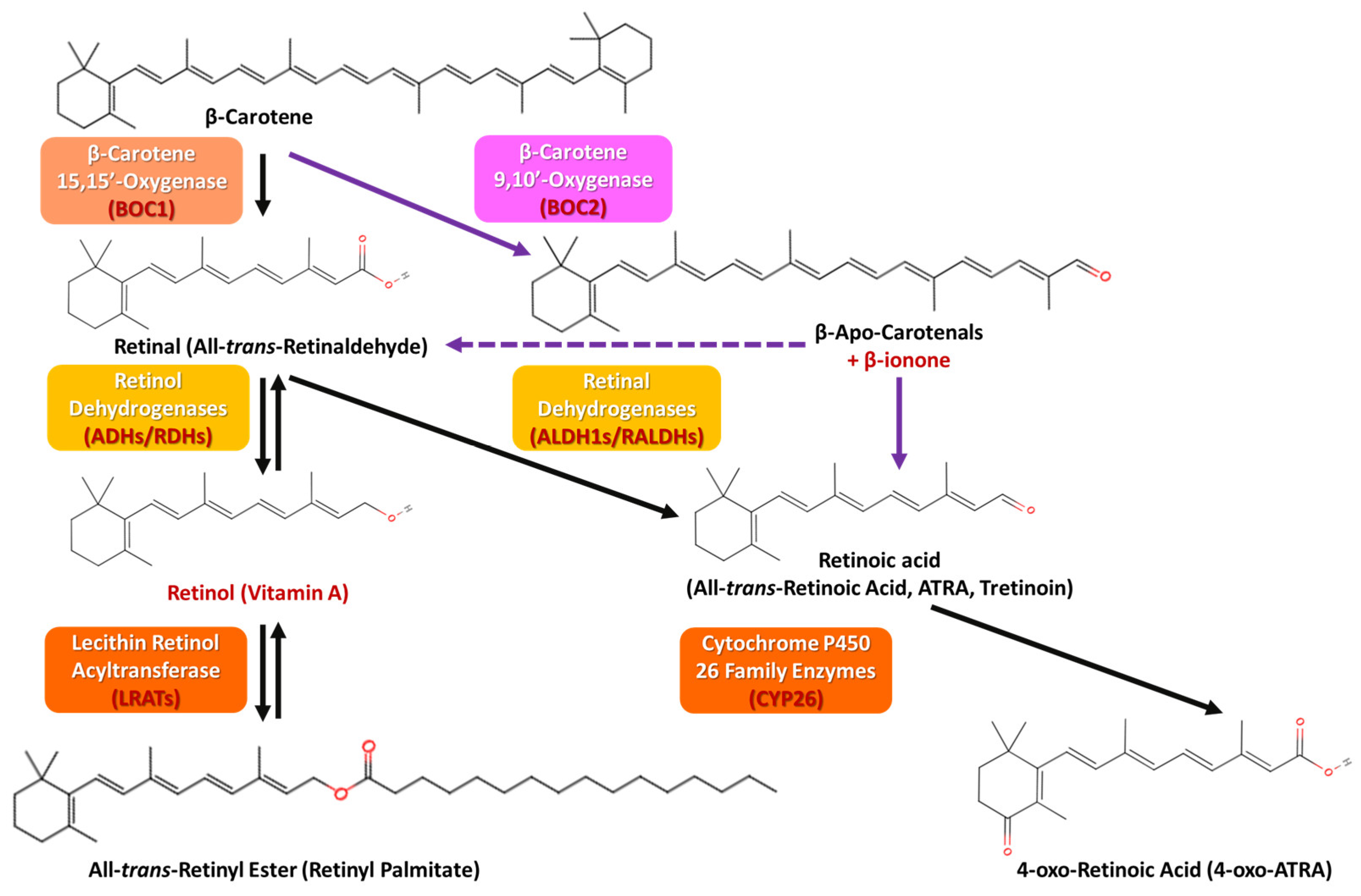 Applsci 15 01657 g007