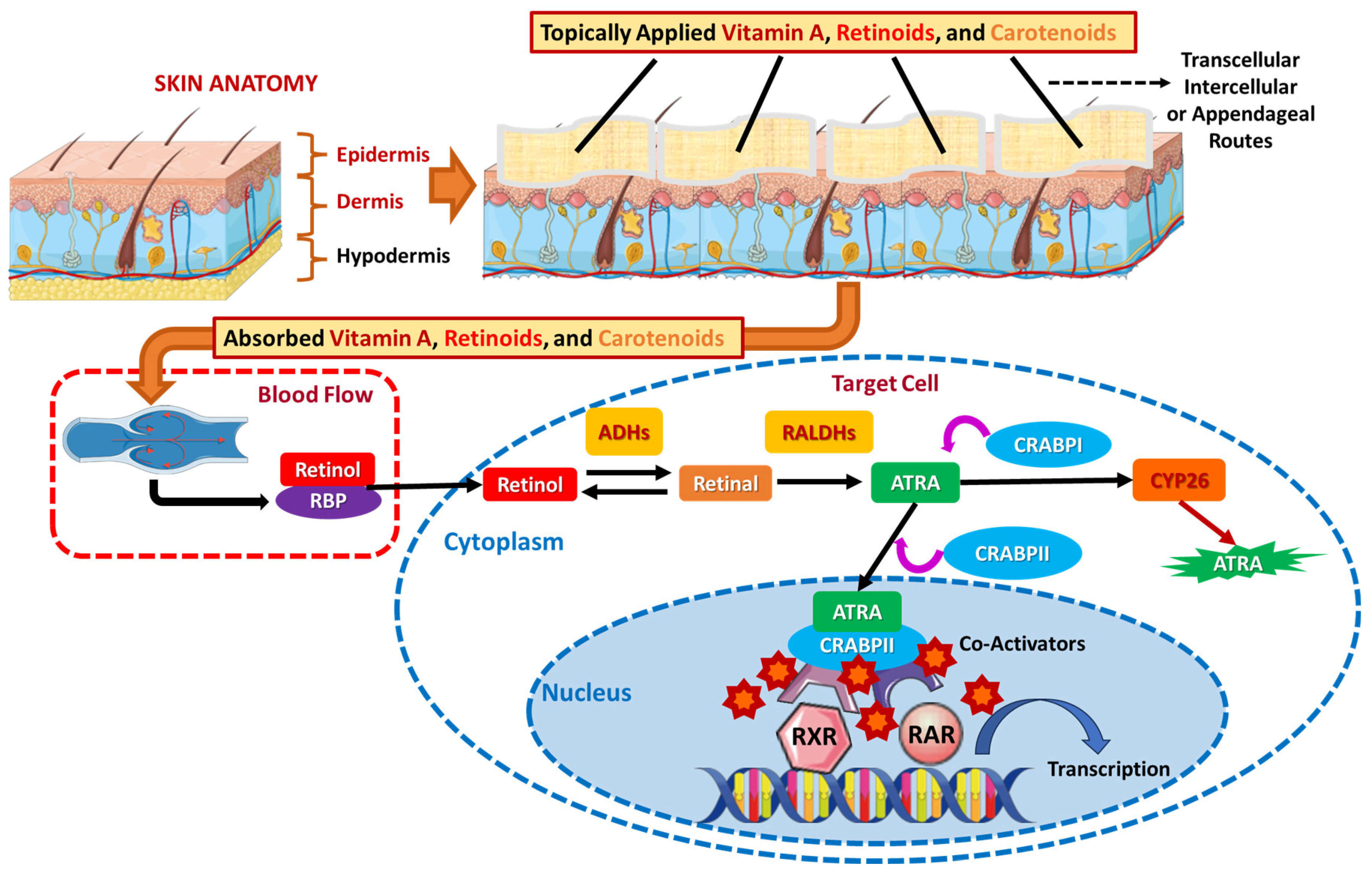 Applsci 15 01657 g008
