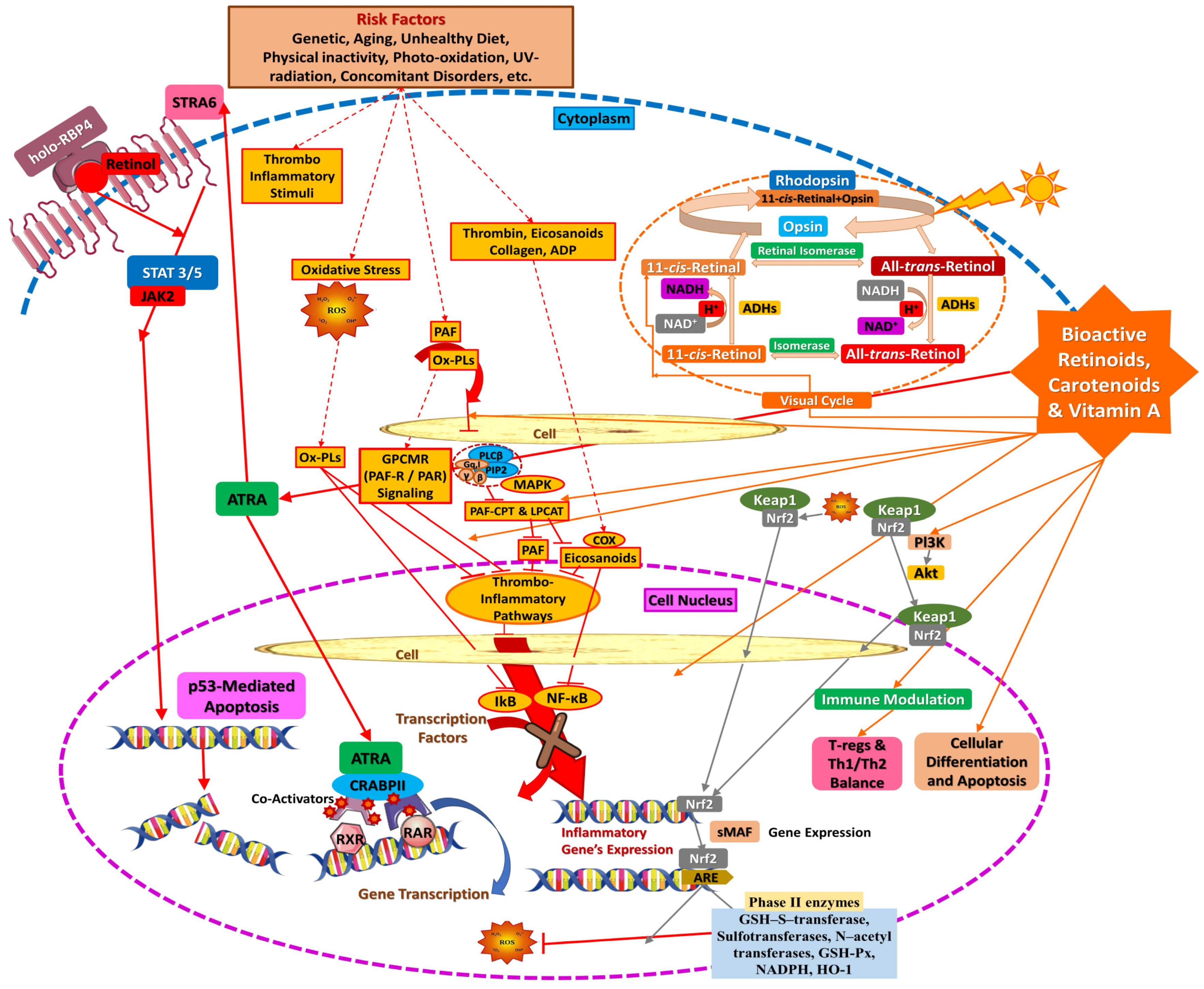 Applsci 15 01657 g009