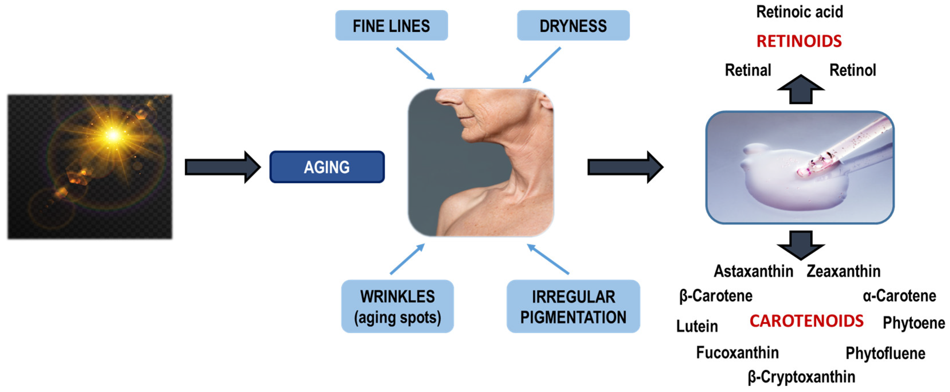 Applsci 15 01657 g010