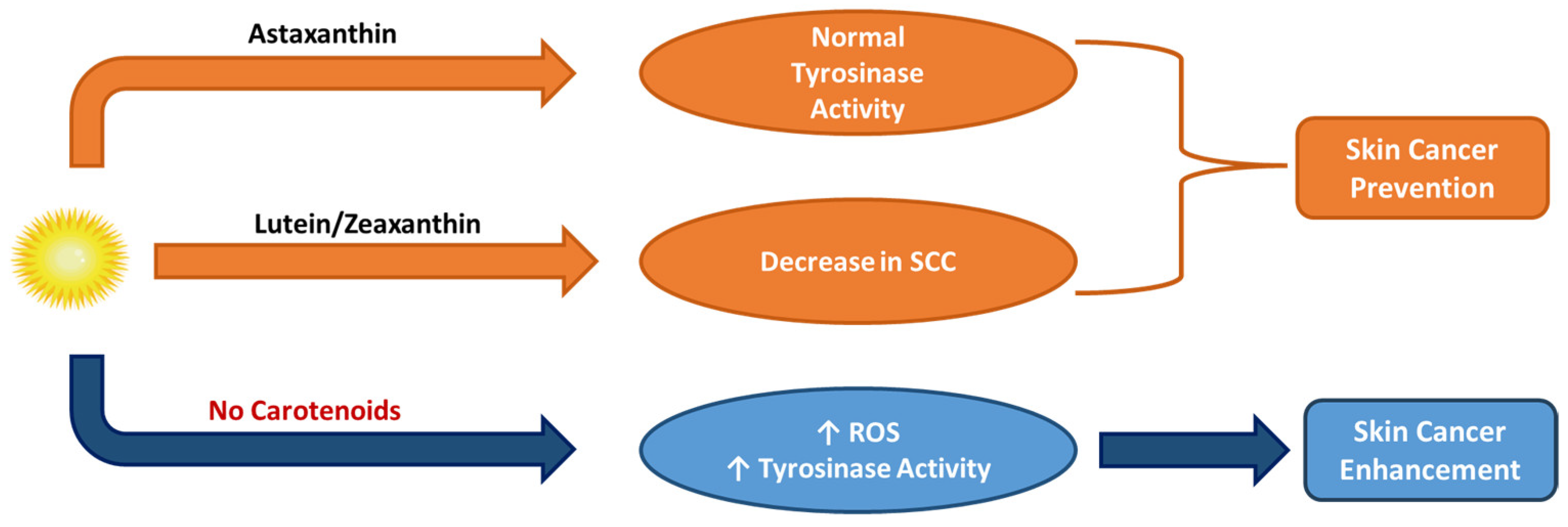 Applsci 15 01657 g011