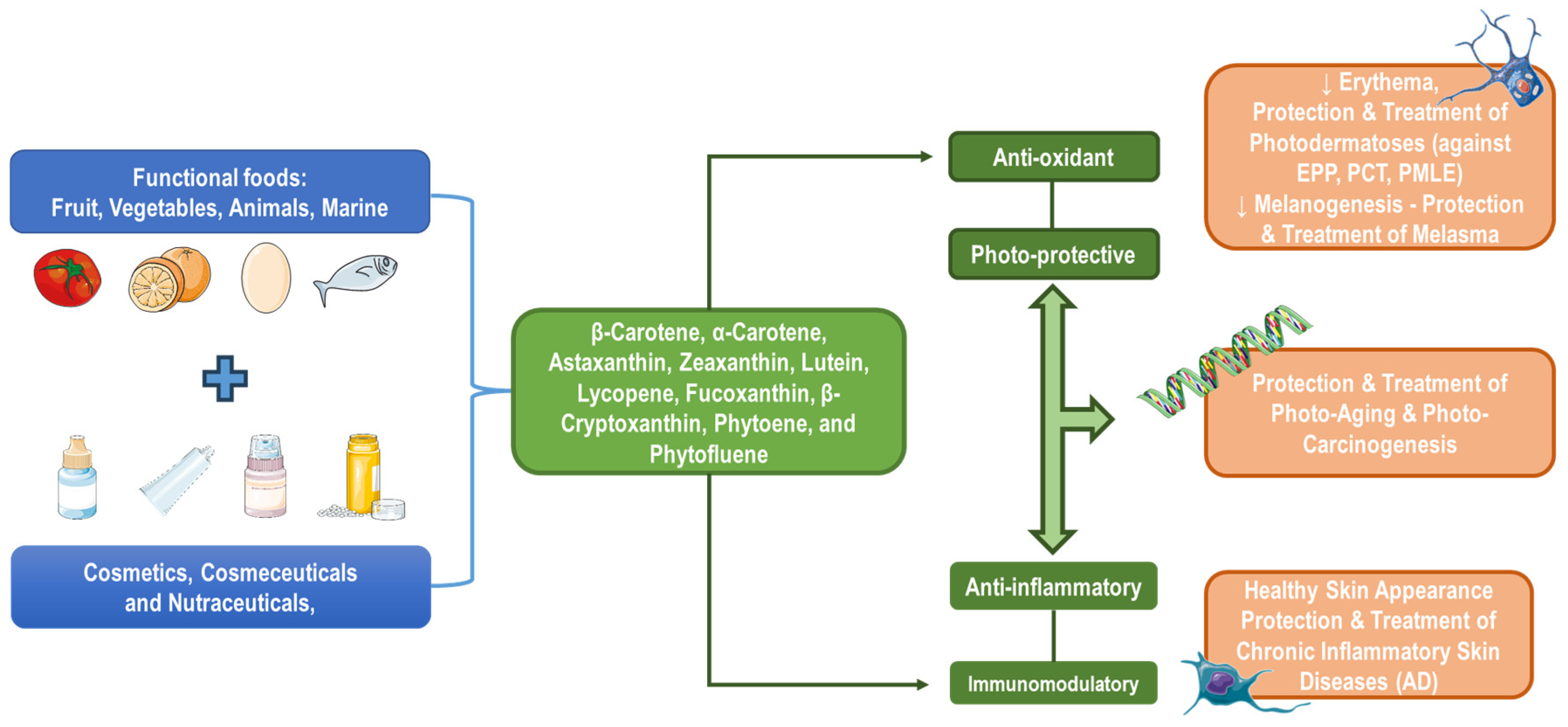 Applsci 15 01657 g012