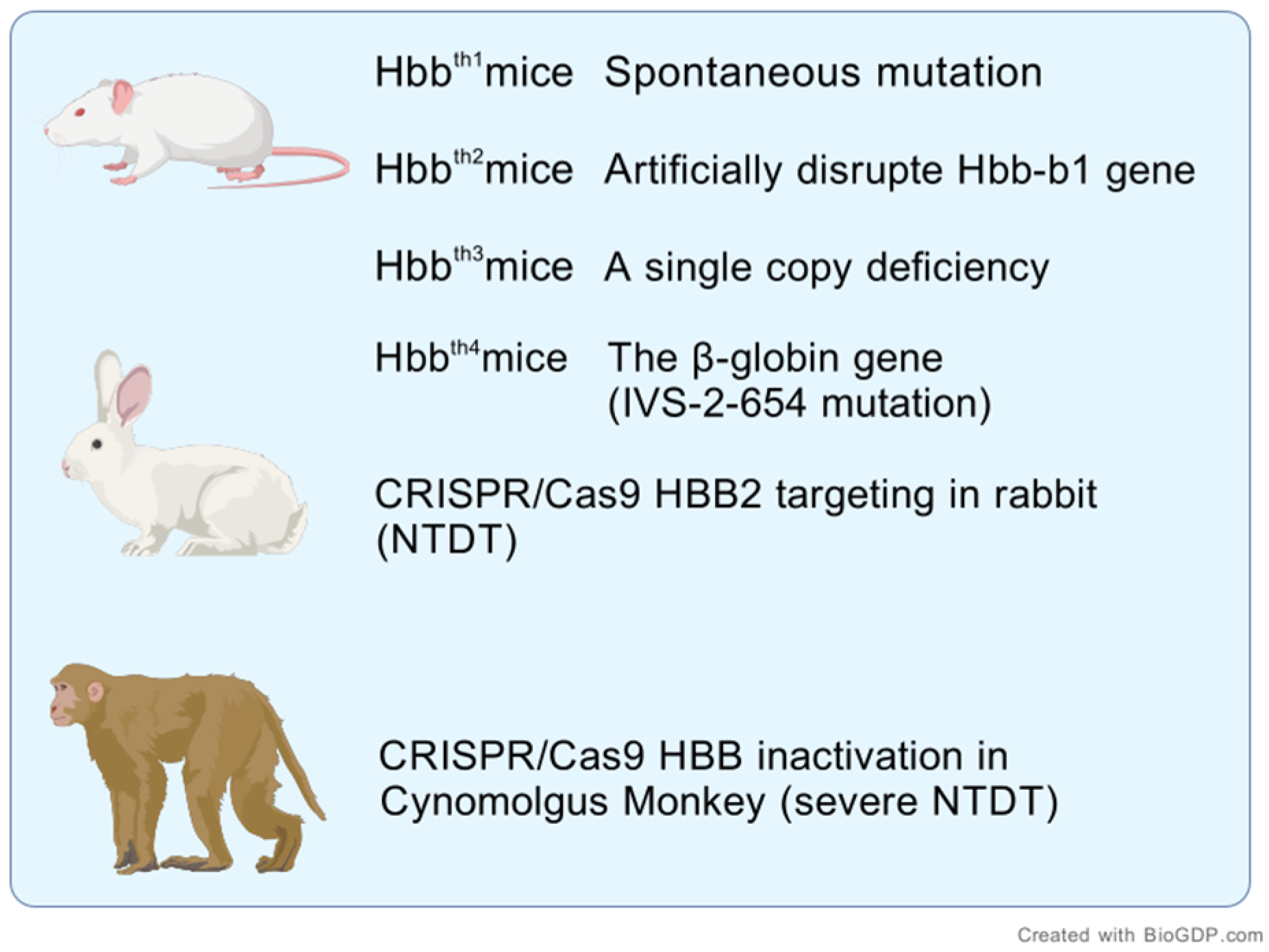 Applsci 15 01661 g001