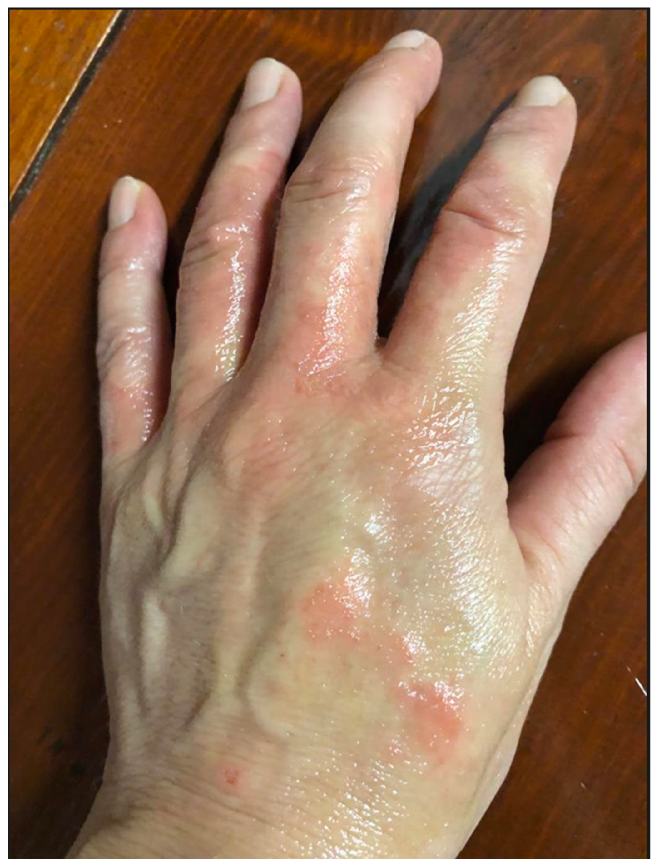 Applsci 15 01732 g001