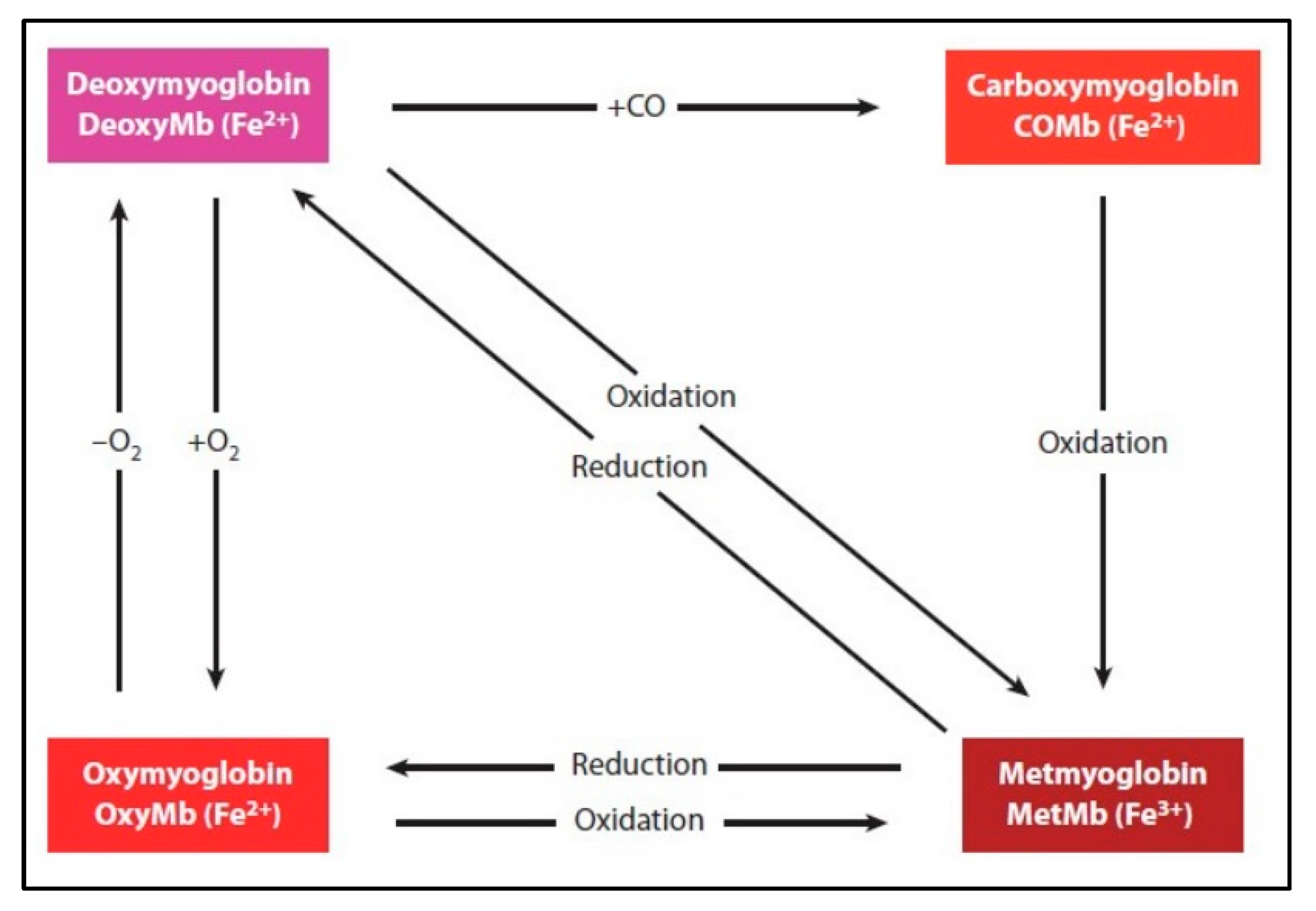 Applsci 15 01766 g001