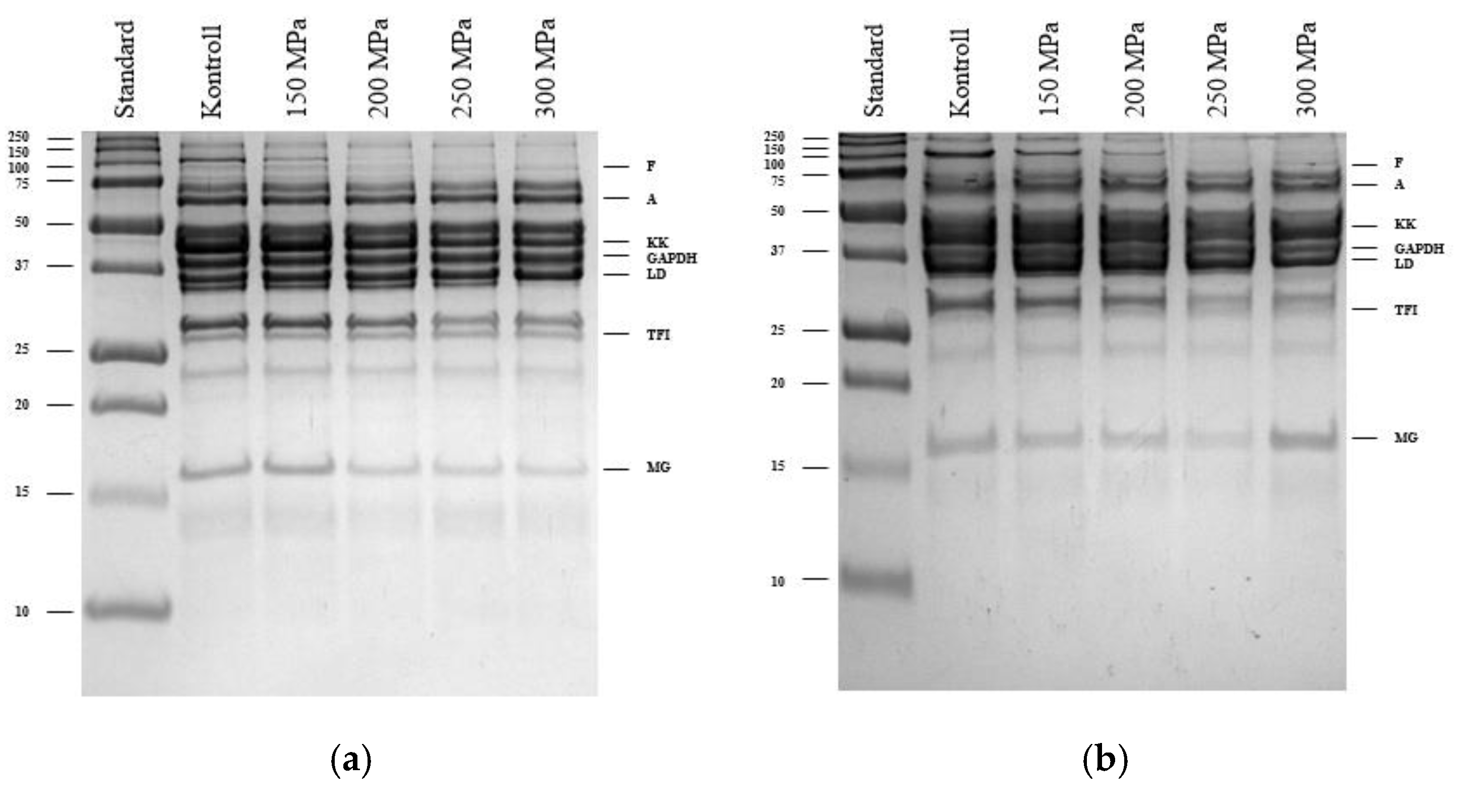 Applsci 15 01766 g009