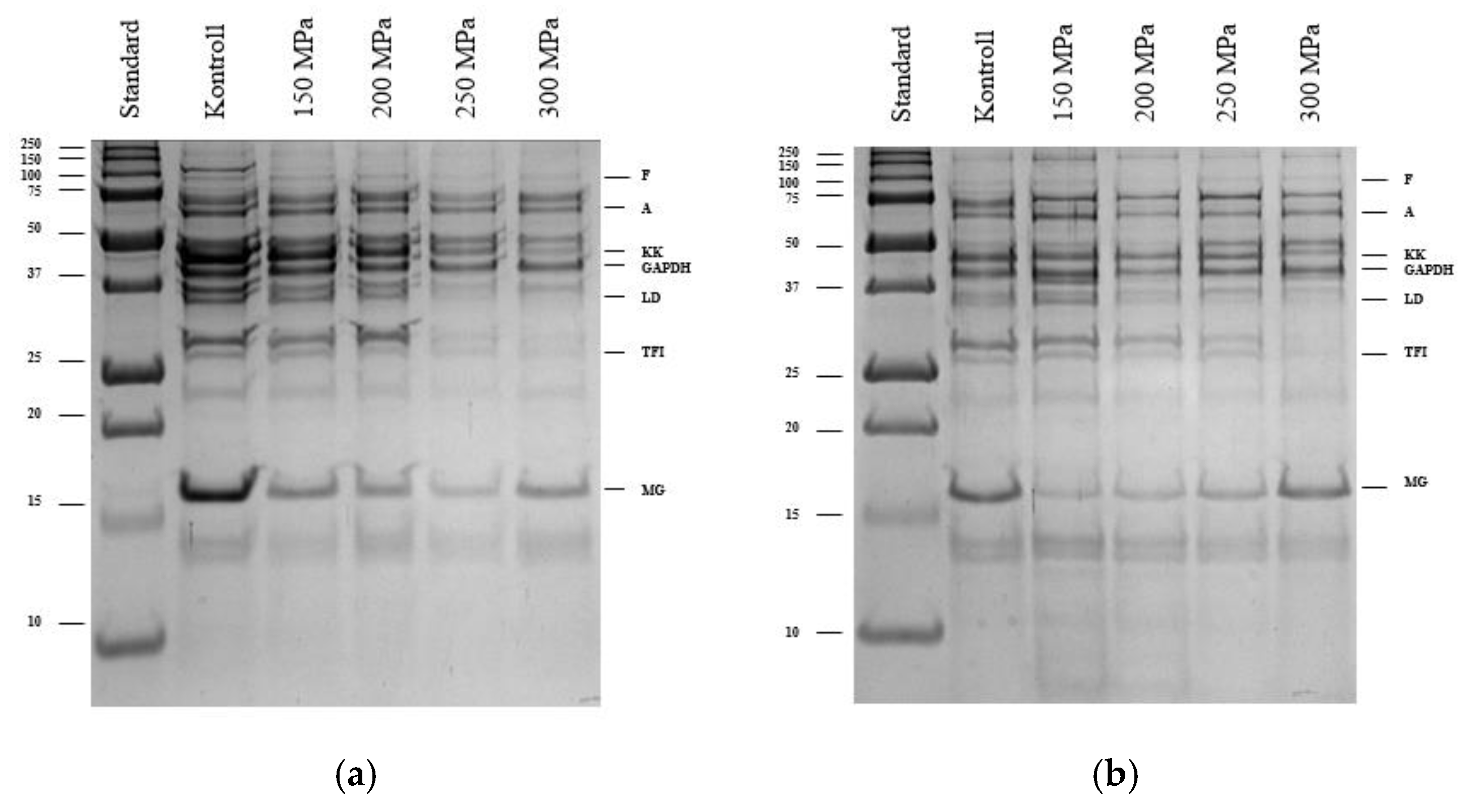 Applsci 15 01766 g010