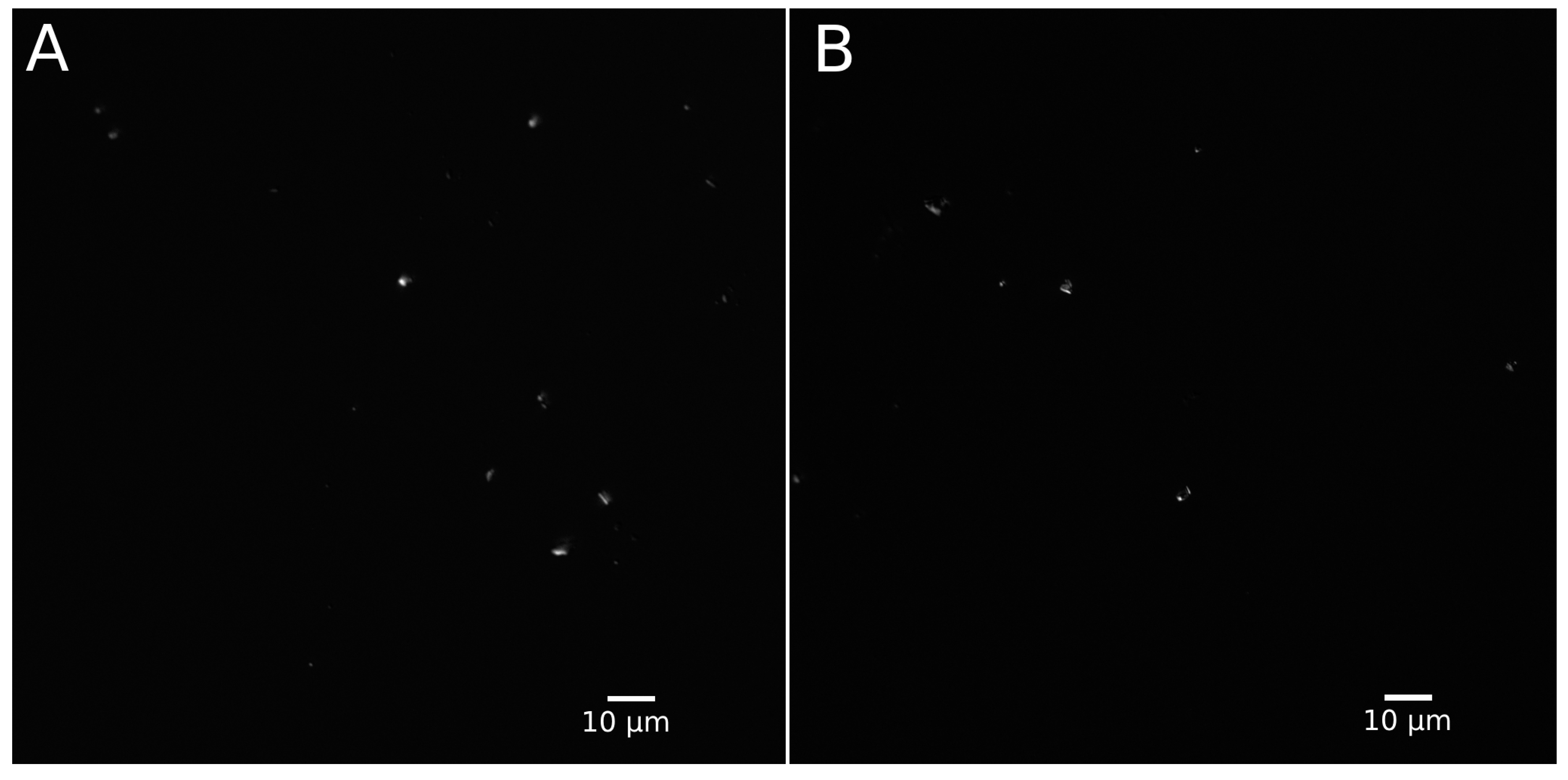 Applsci 15 01778 g002