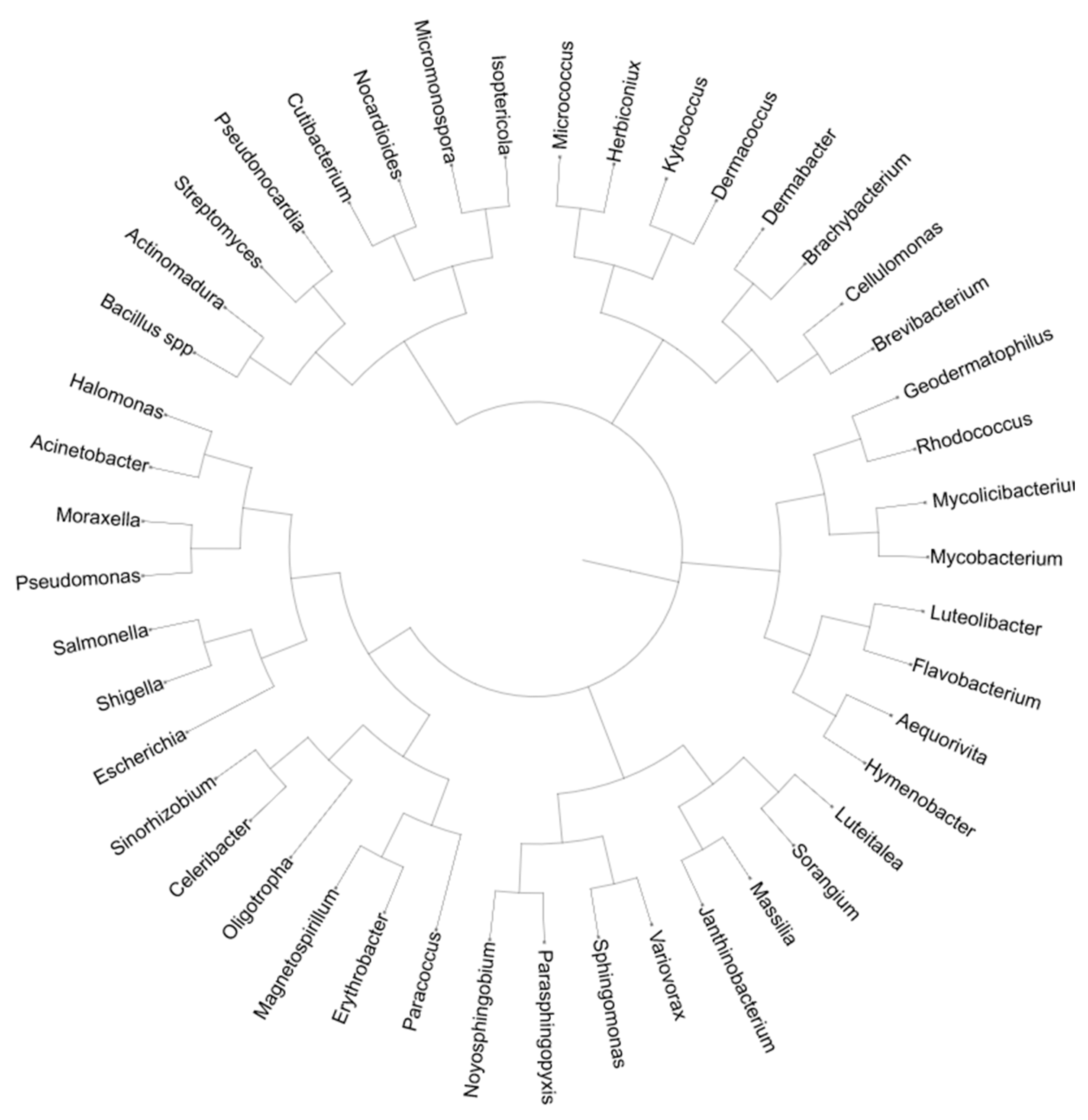 Applsci 15 01778 g008