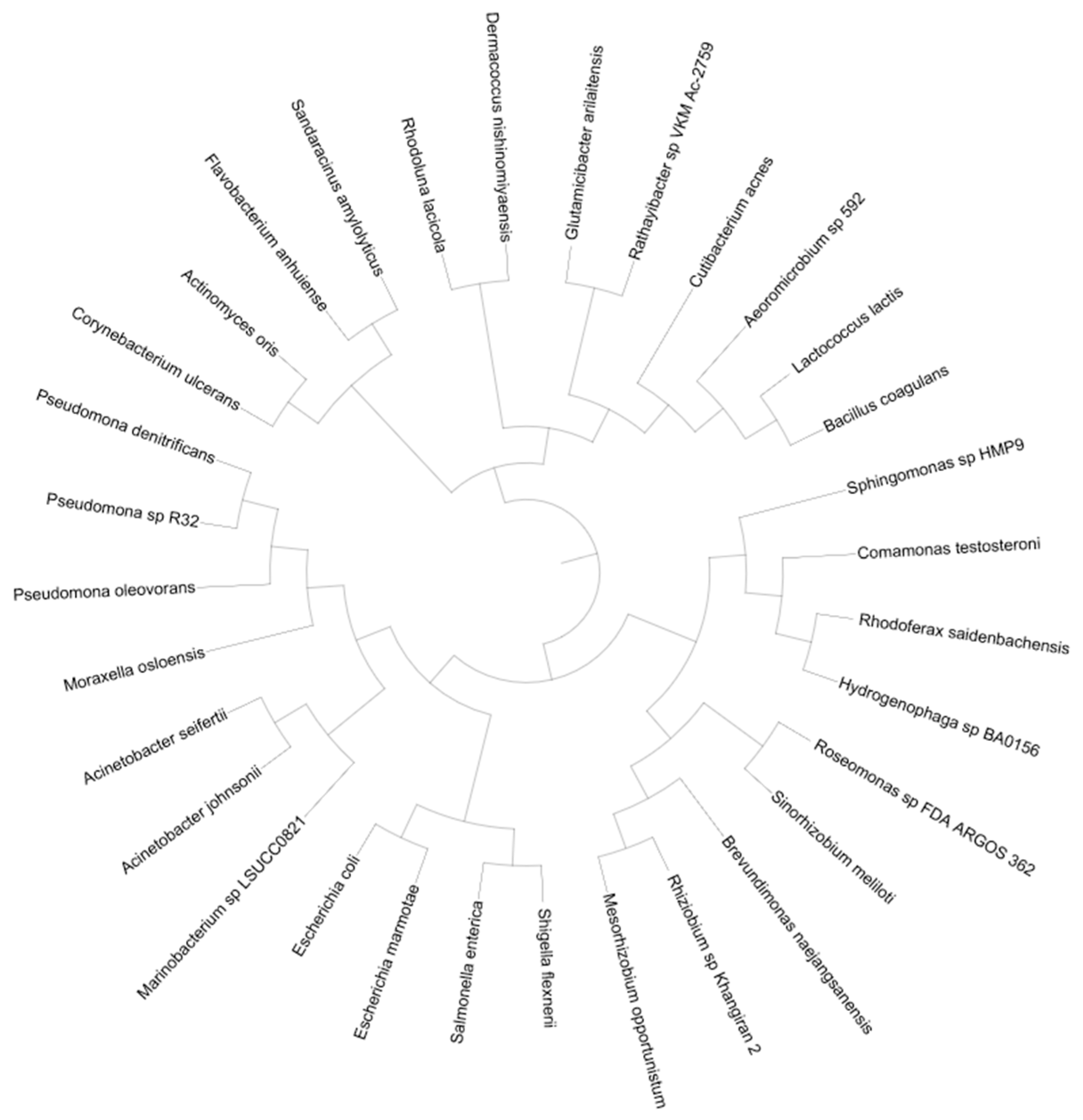 Applsci 15 01778 g009