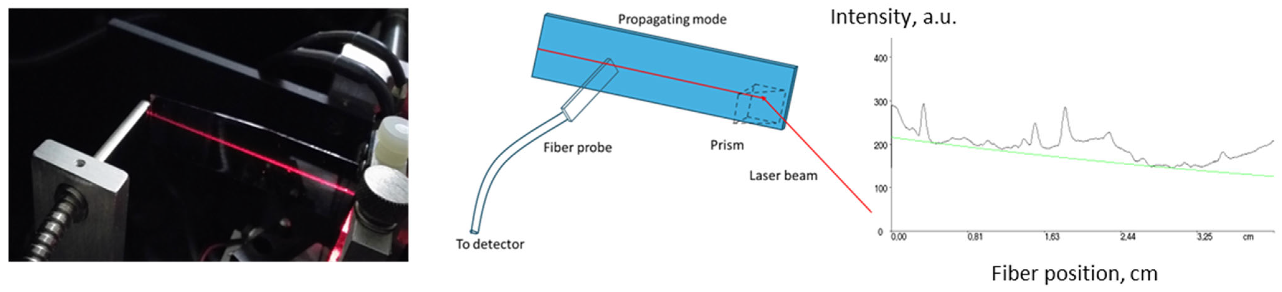 Applsci 15 01790 g001
