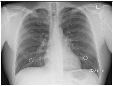 Applsci 15 01796 i001