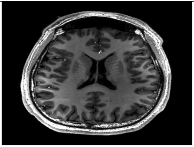 Applsci 15 01796 i002