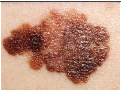 Applsci 15 01796 i004