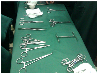 Applsci 15 01796 i008