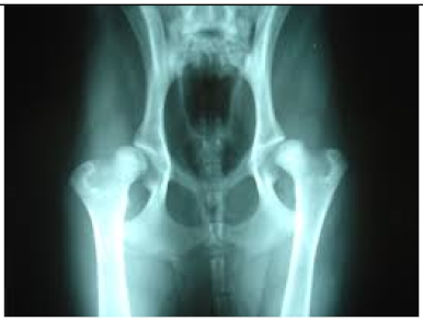 Applsci 15 01796 i010