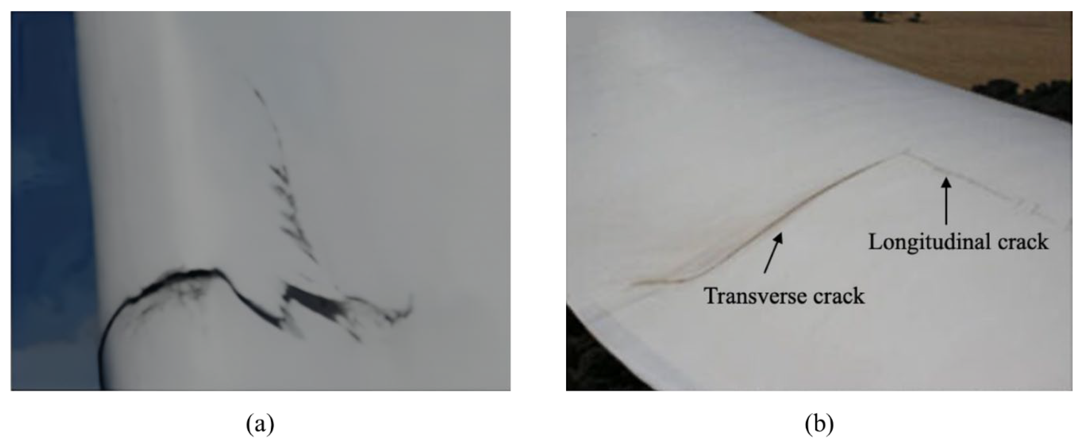 Applsci 15 01866 g001