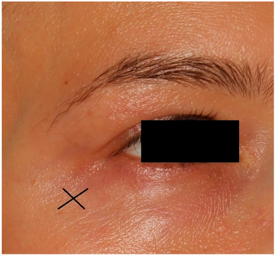 Applsci 15 01876 g001