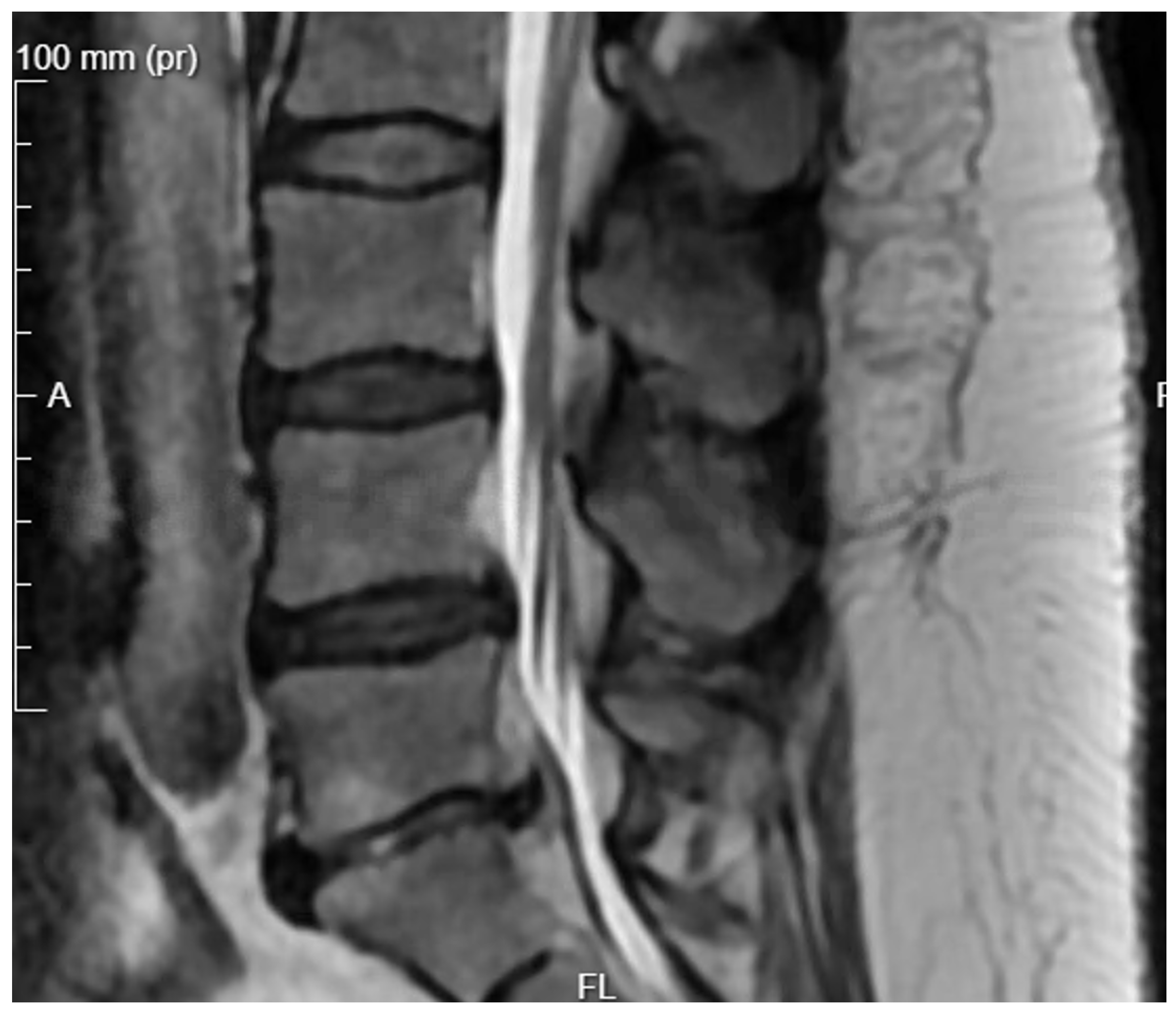 Applsci 15 01906 g003