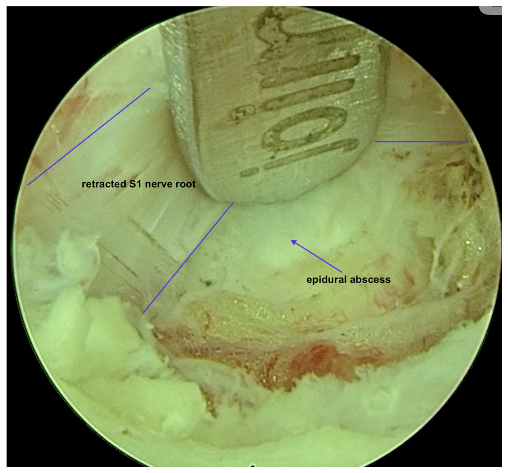 Applsci 15 01906 g005