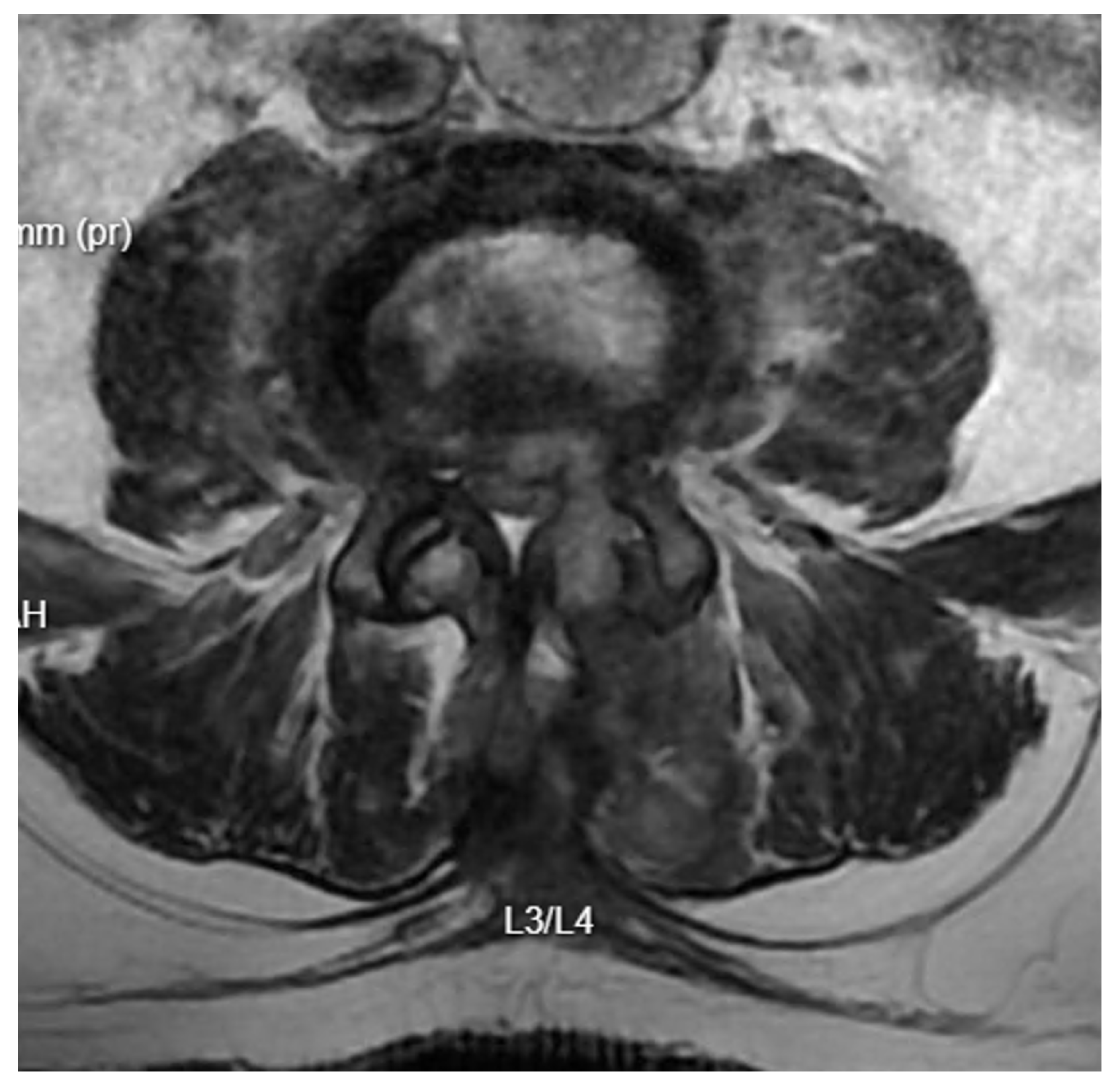 Applsci 15 01906 g007