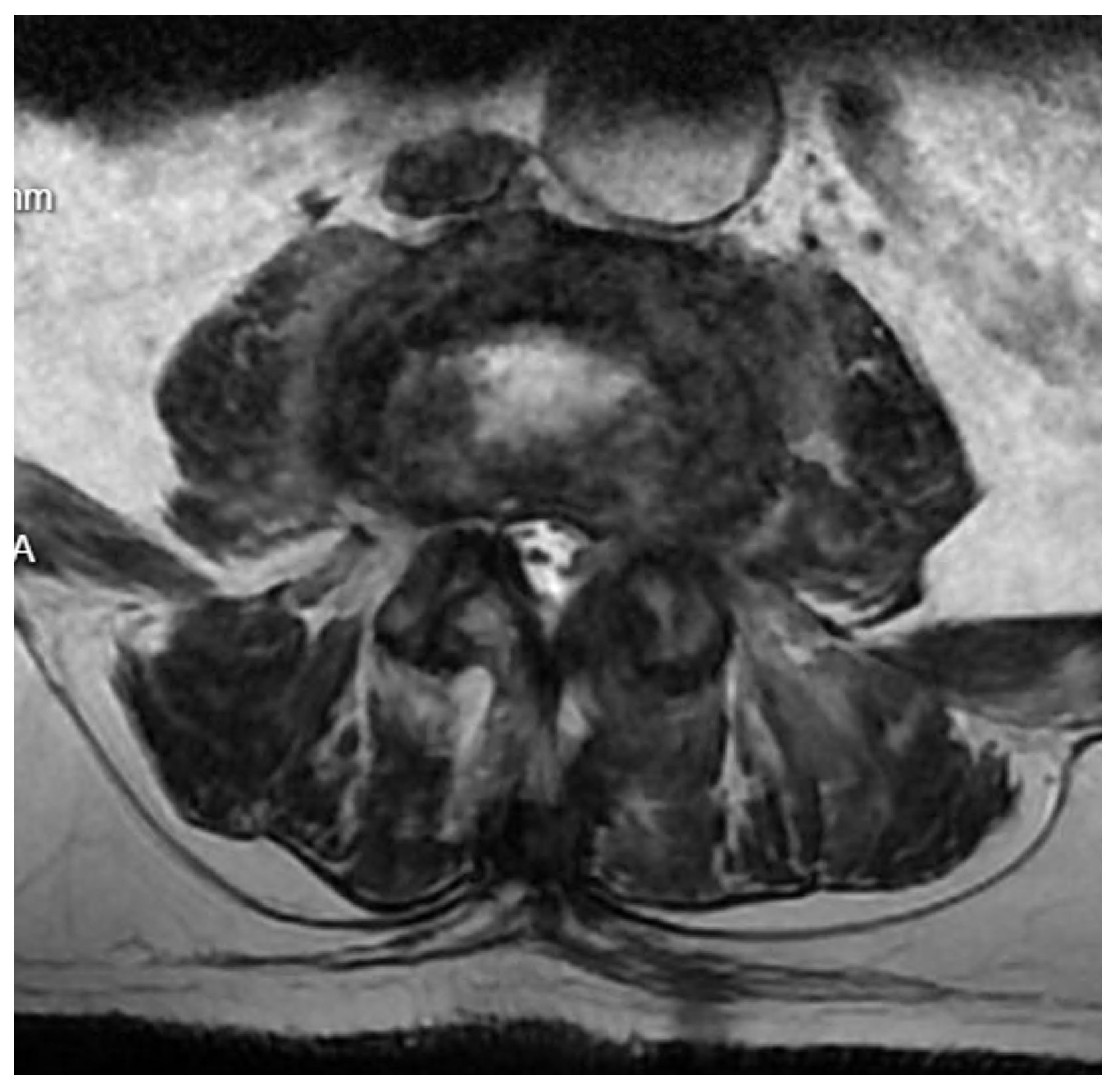 Applsci 15 01906 g008