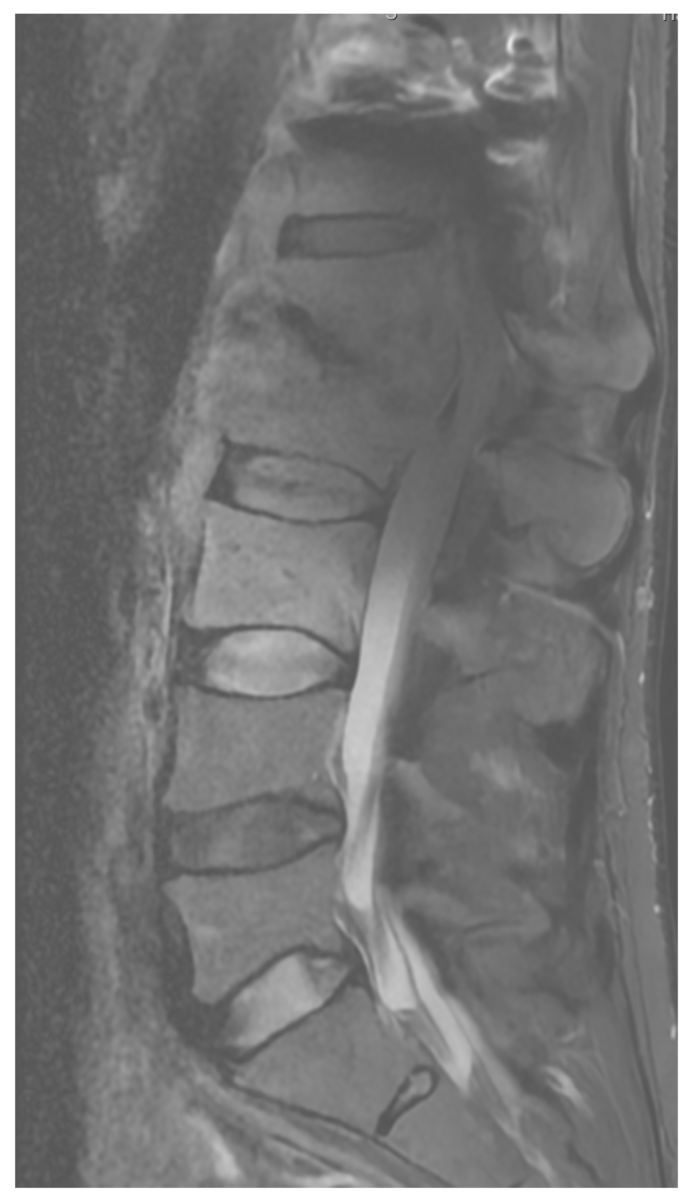 Applsci 15 01906 g010