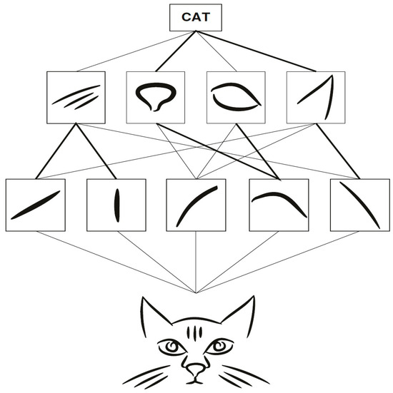 Applsci 15 01913 g004