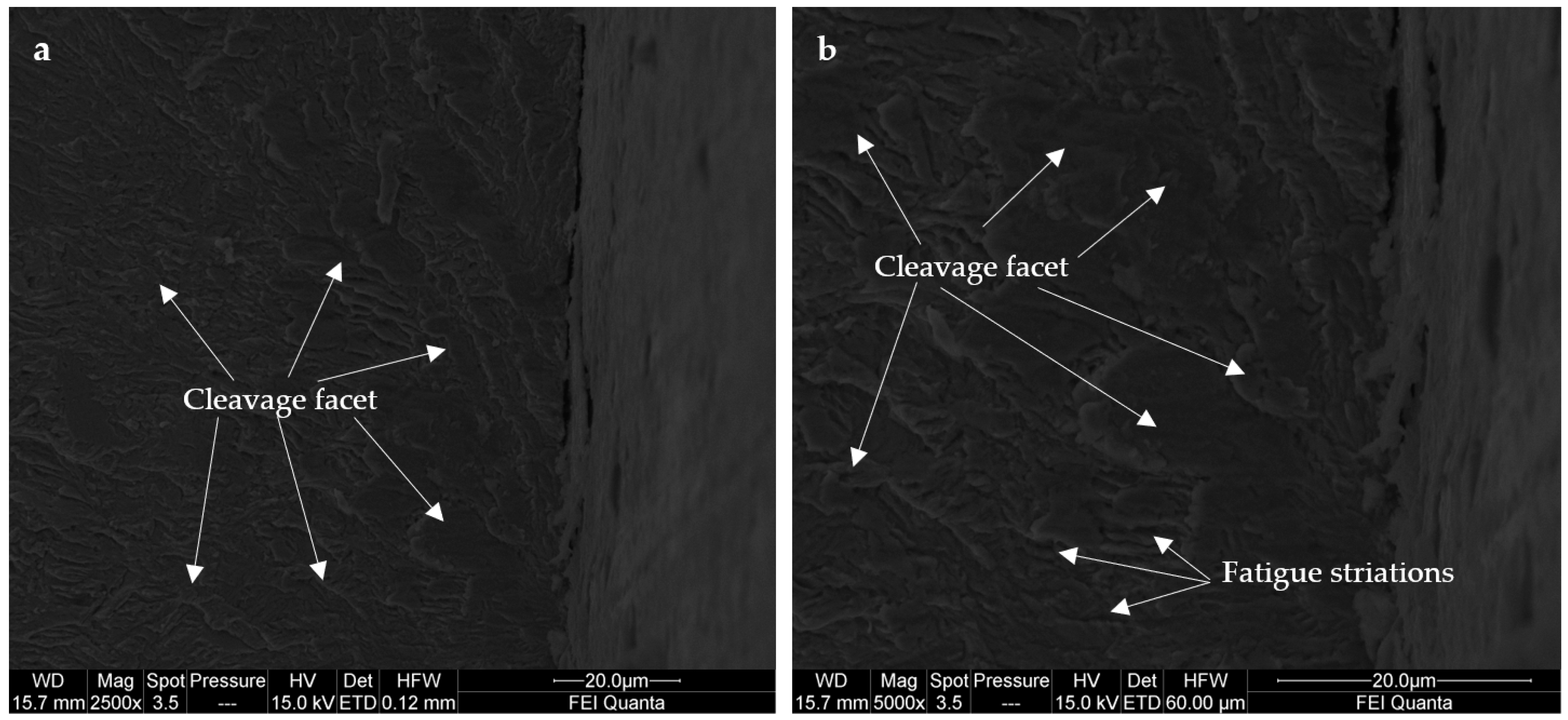 Applsci 15 01938 g019a