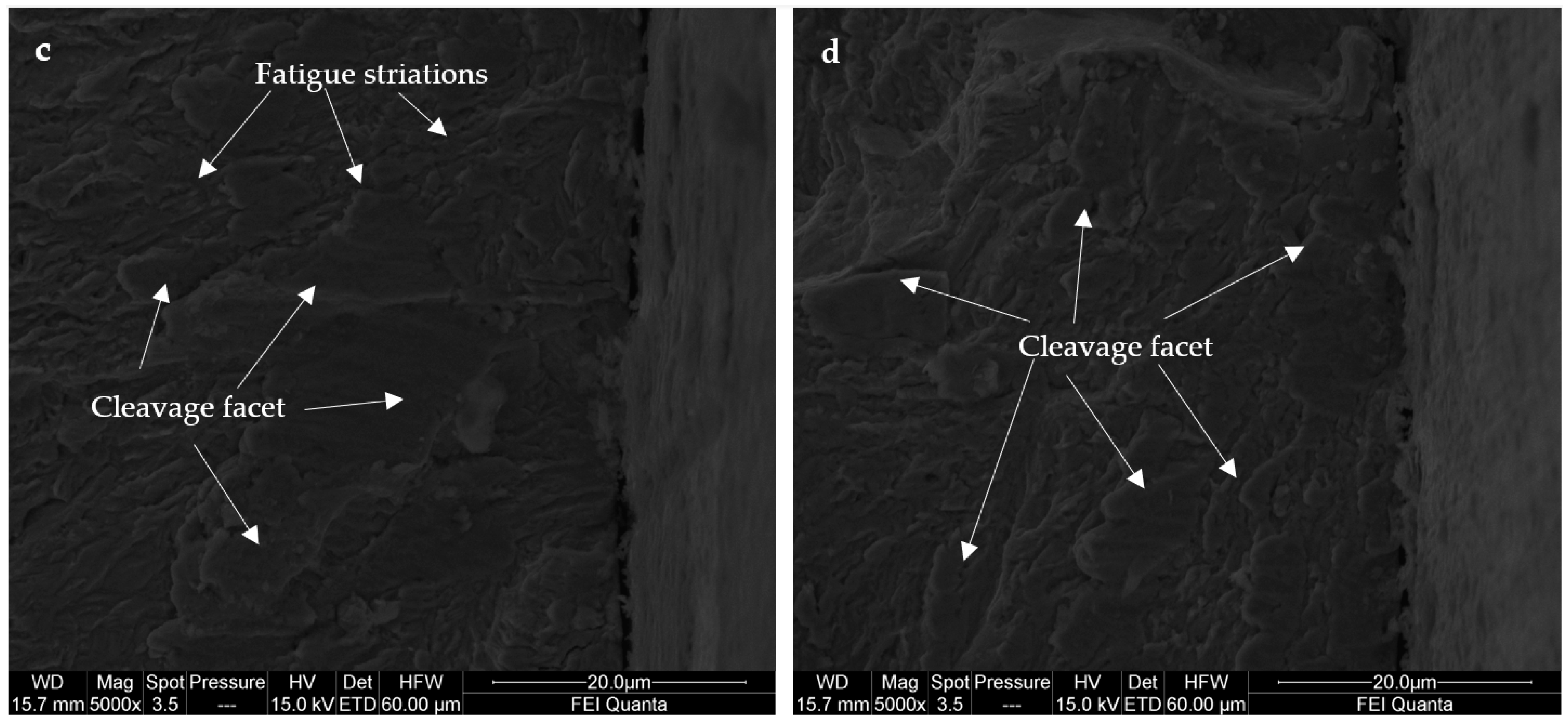 Applsci 15 01938 g019b
